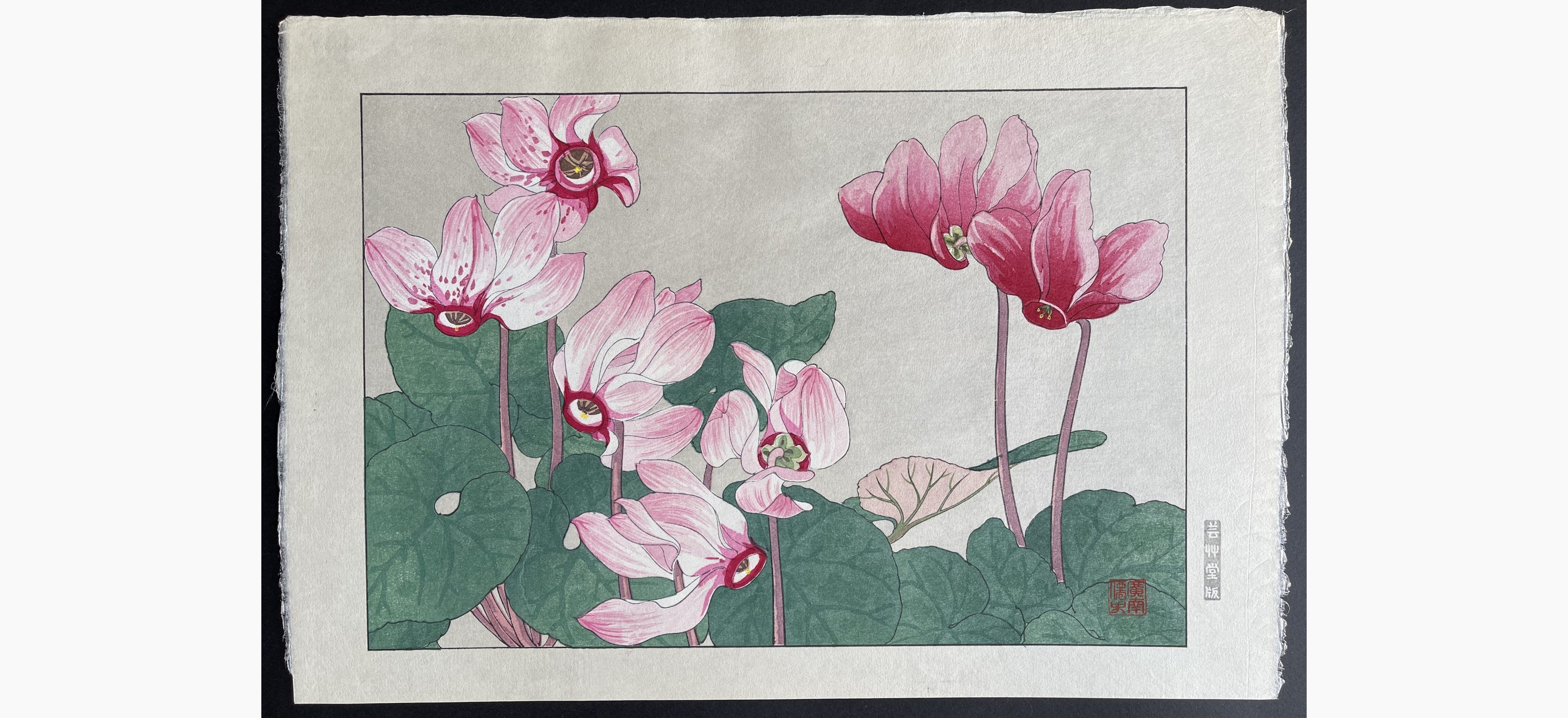 Japanese woodblock print - Tanigami Konan - Cyclamen