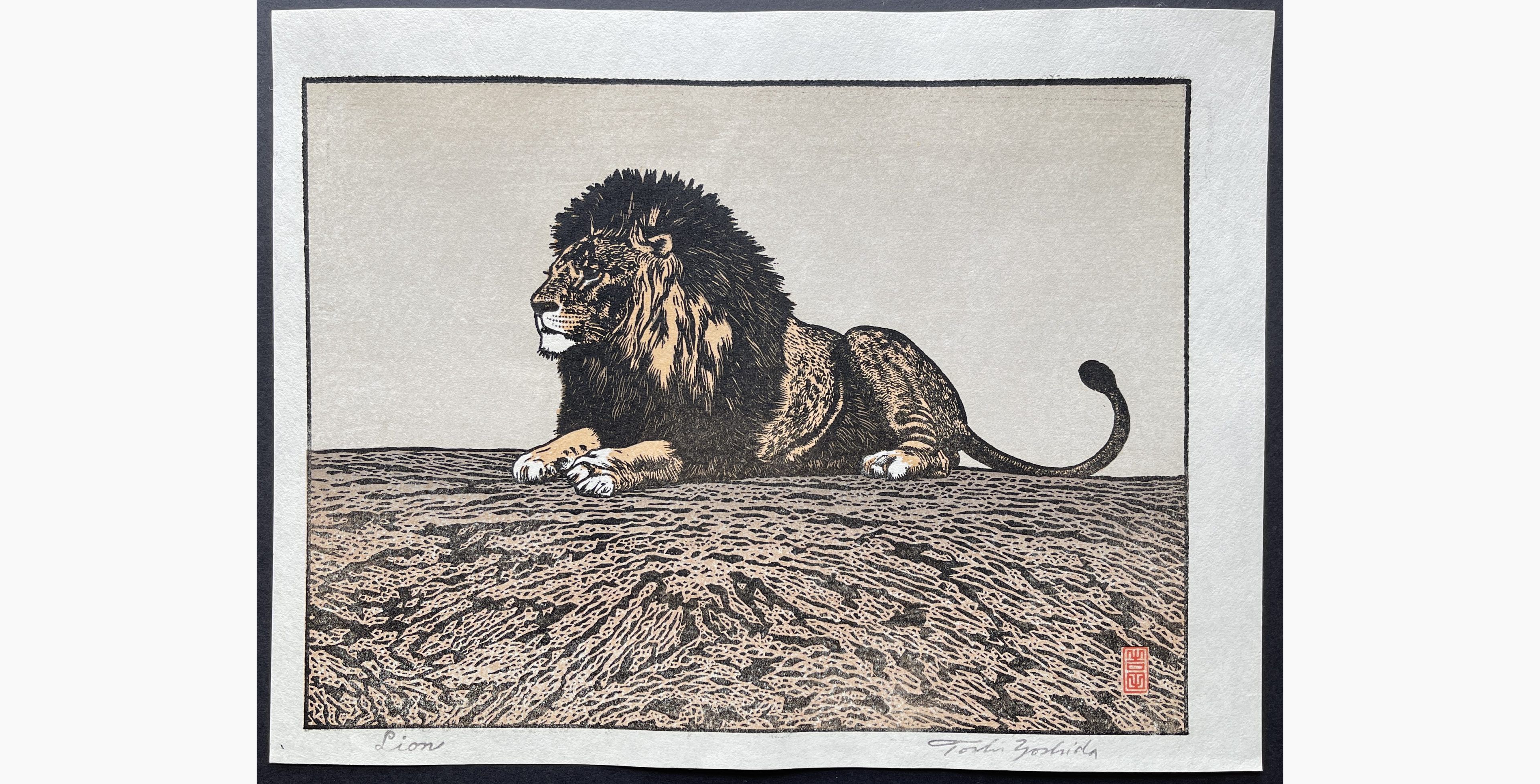 Japanese woodblock print - Toshi Yoshida - Lion