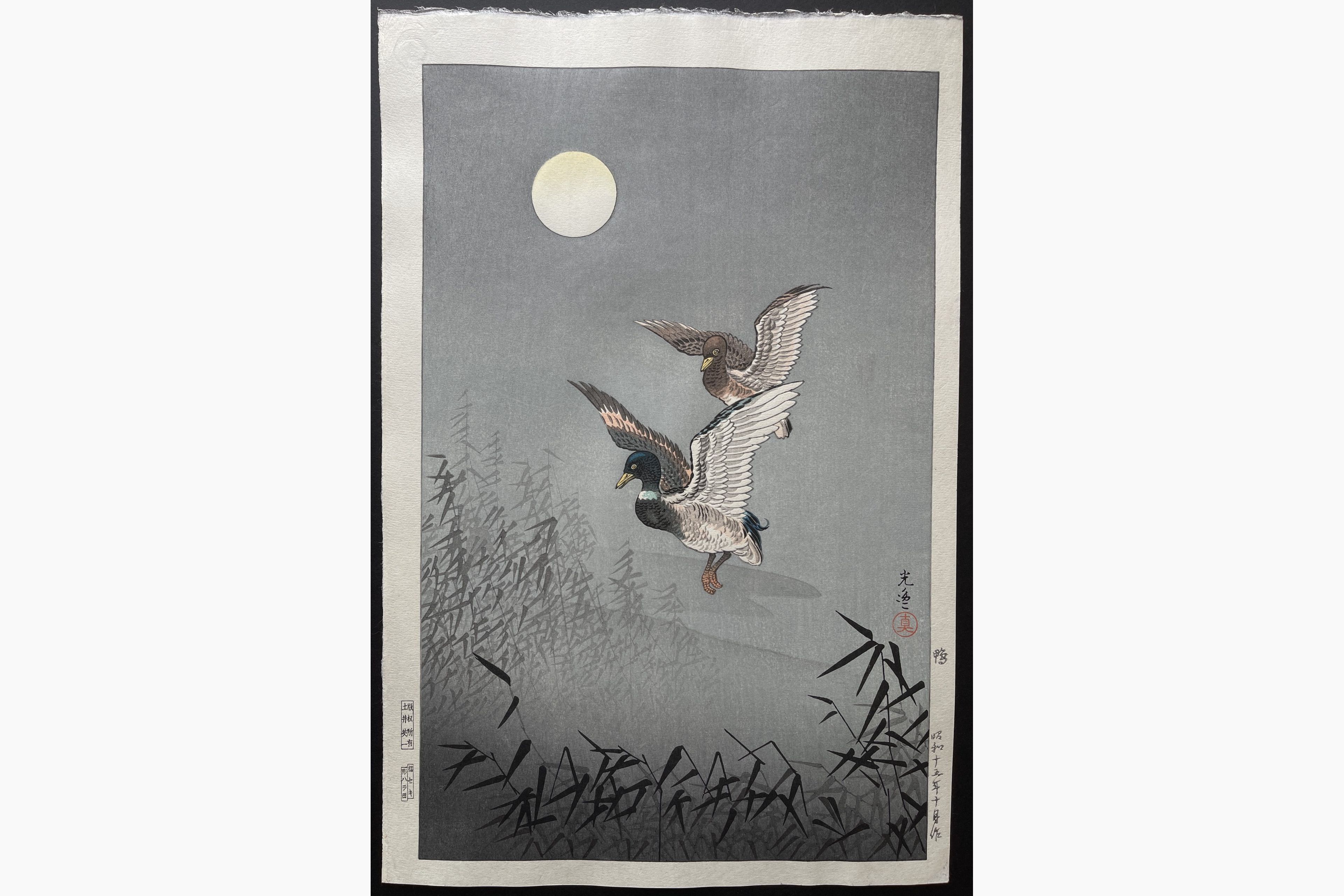 Japanese woodblock print - Tsuchiya Koitsu - Wild Duck