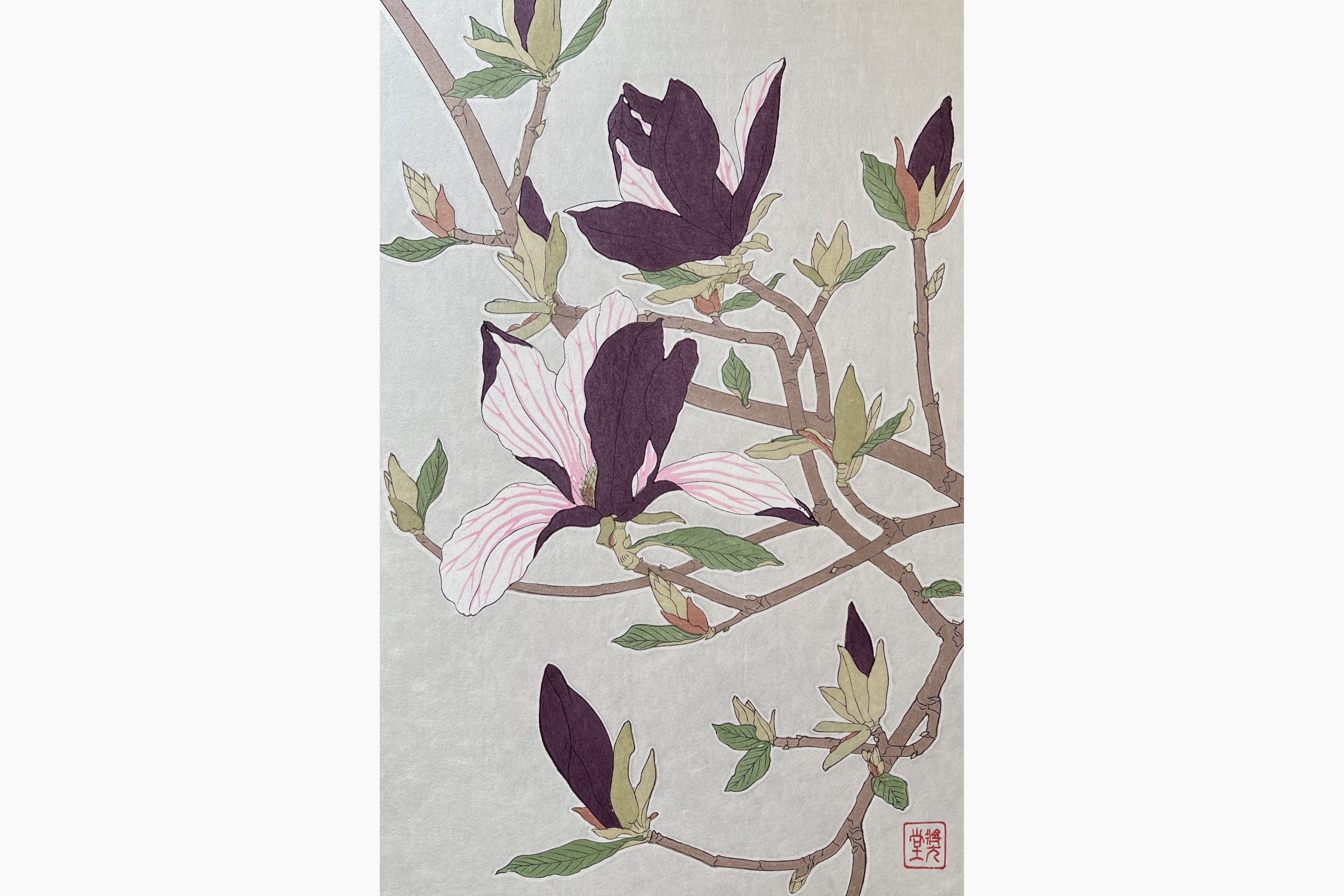 Original woodblock print - Kawarazaki Shodo - Magnolia