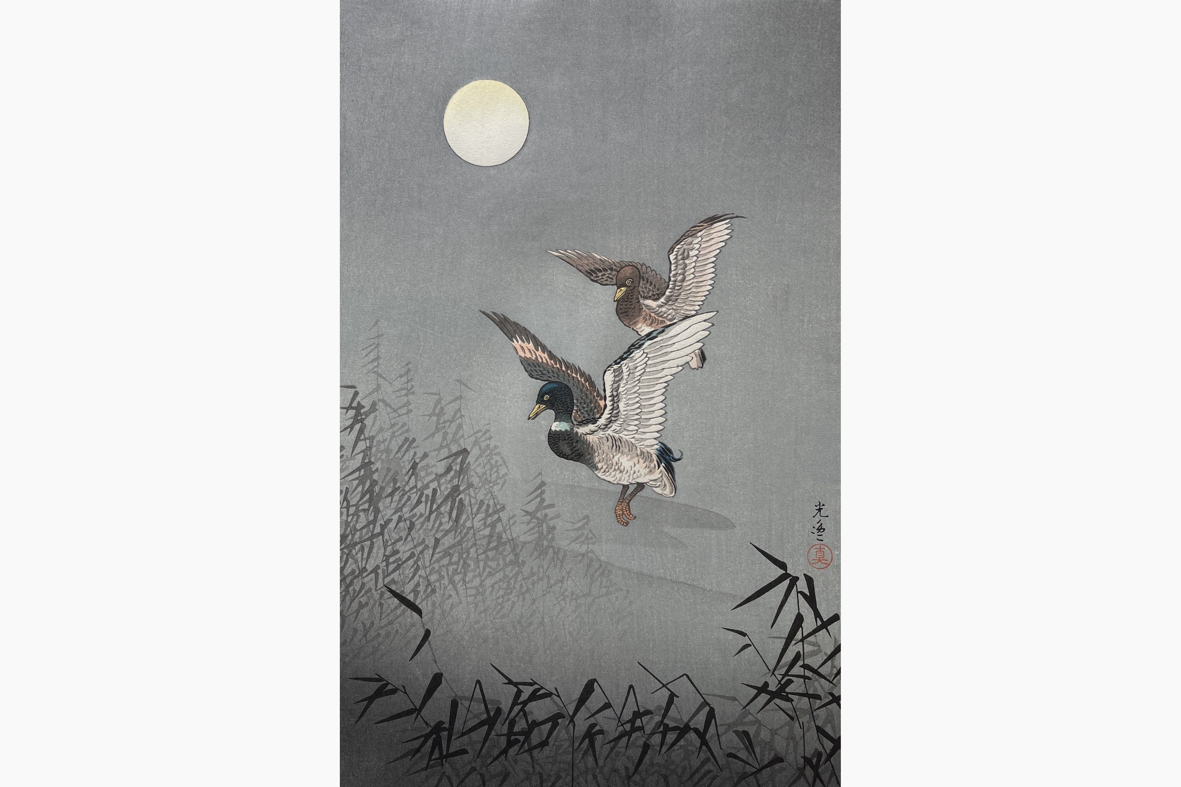 Original woodblock print - Tsuchiya Koitsu - Wild Duck