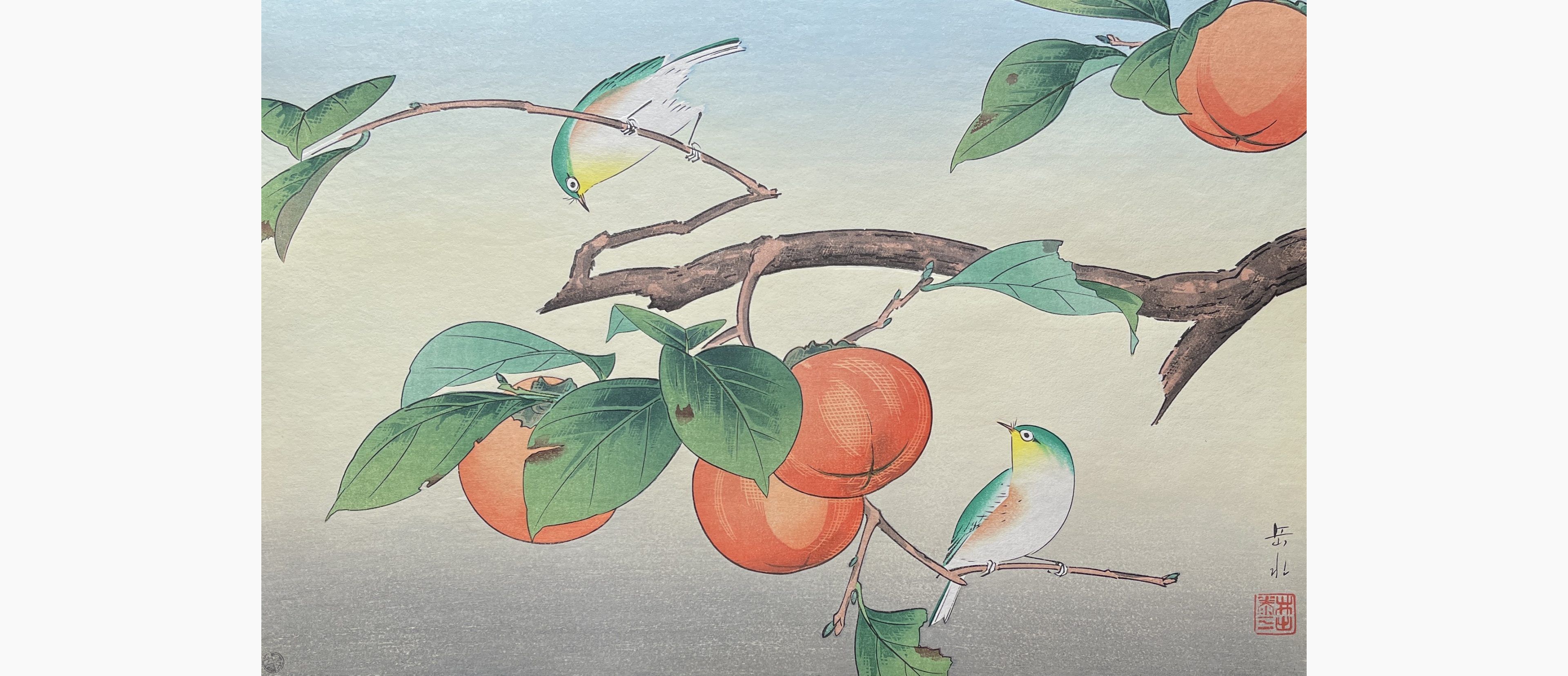 Original woodblock print - Ide Gakusui - Persimmon and Japanese White Eye