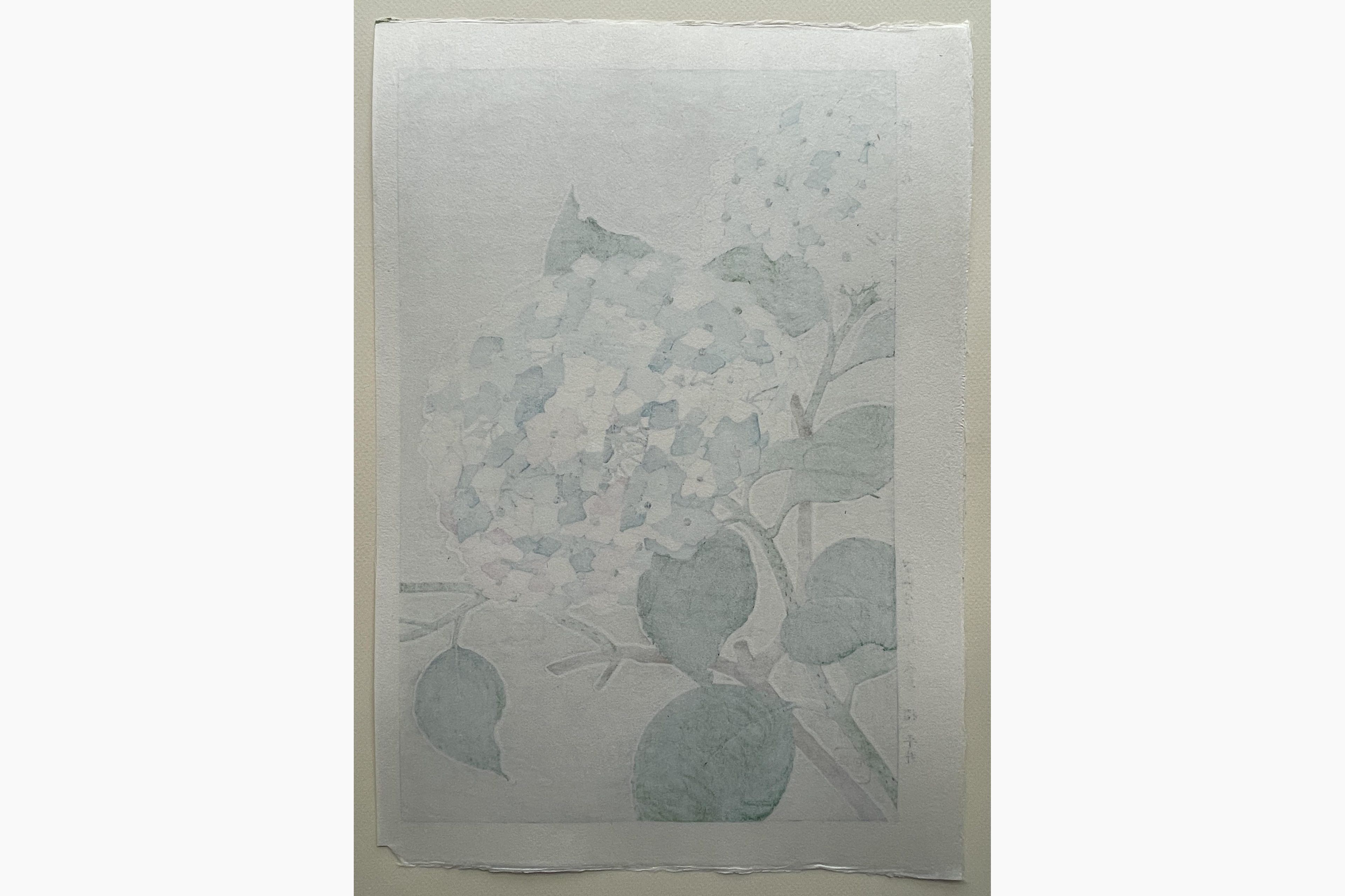 Japanese print - Kawarazaki Shodo - Hydrangea
