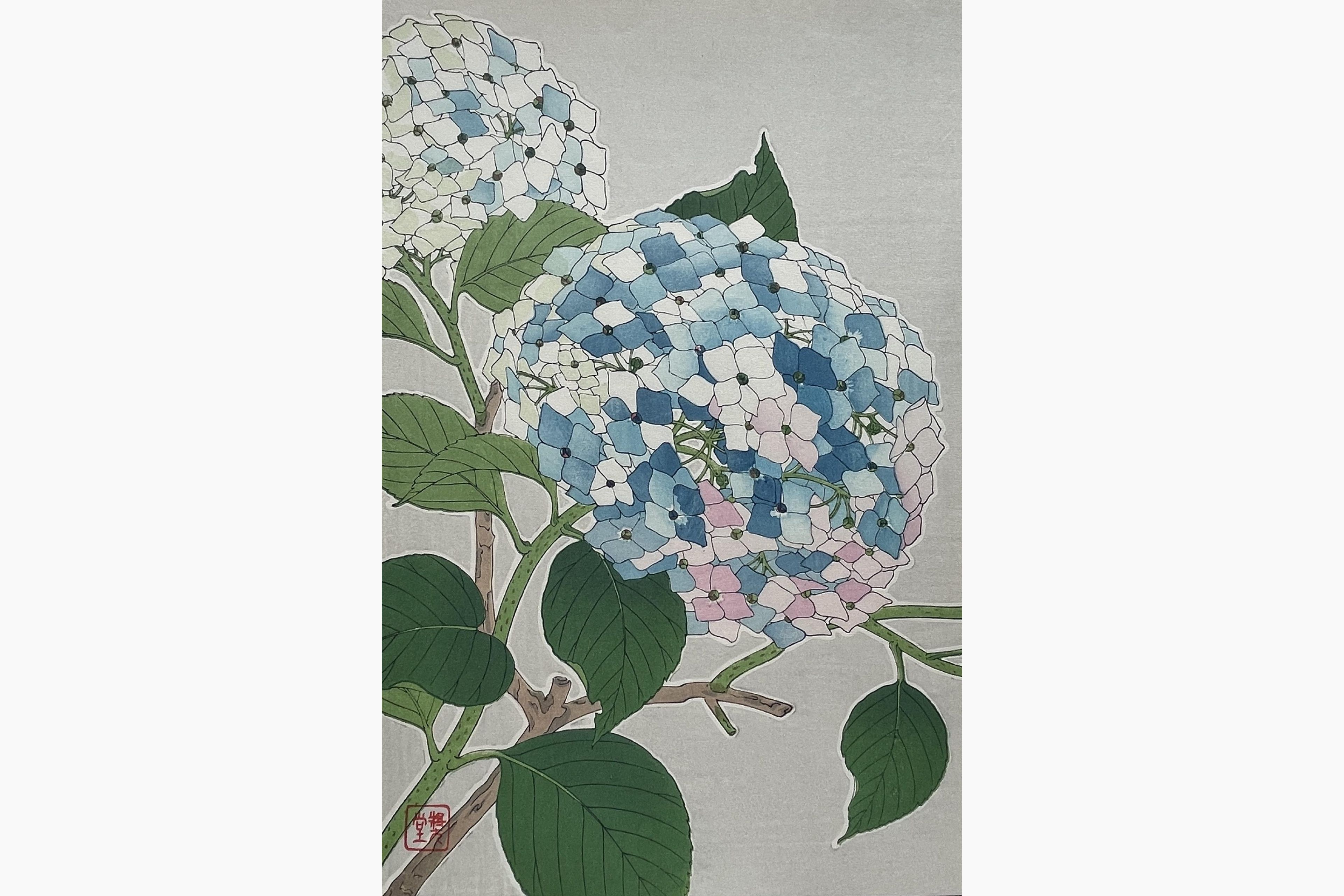Original woodblock print - Kawarazaki Shodo - Hydrangea