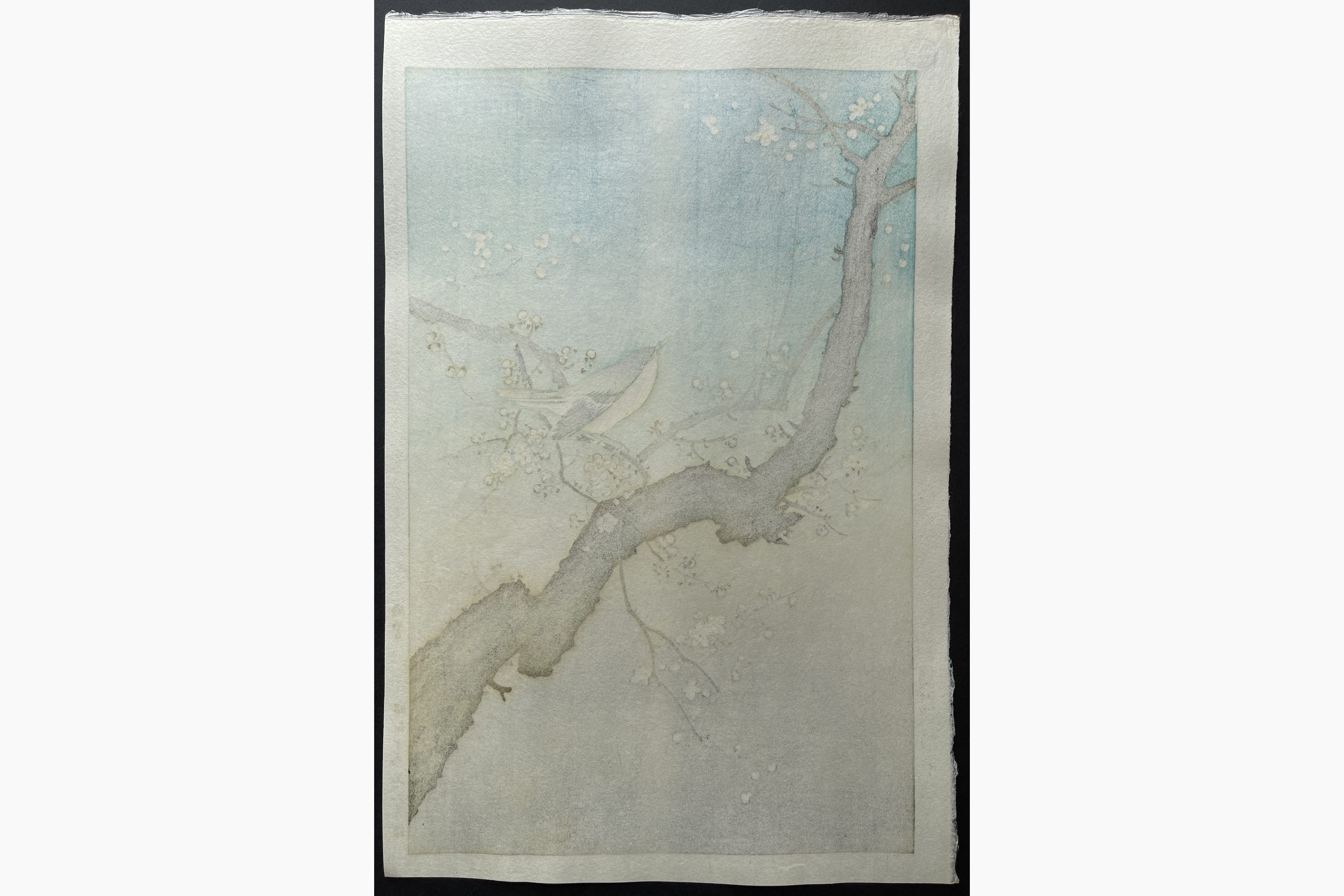 Japanese print - Tsuchiya Koitsu - Bush Warbler