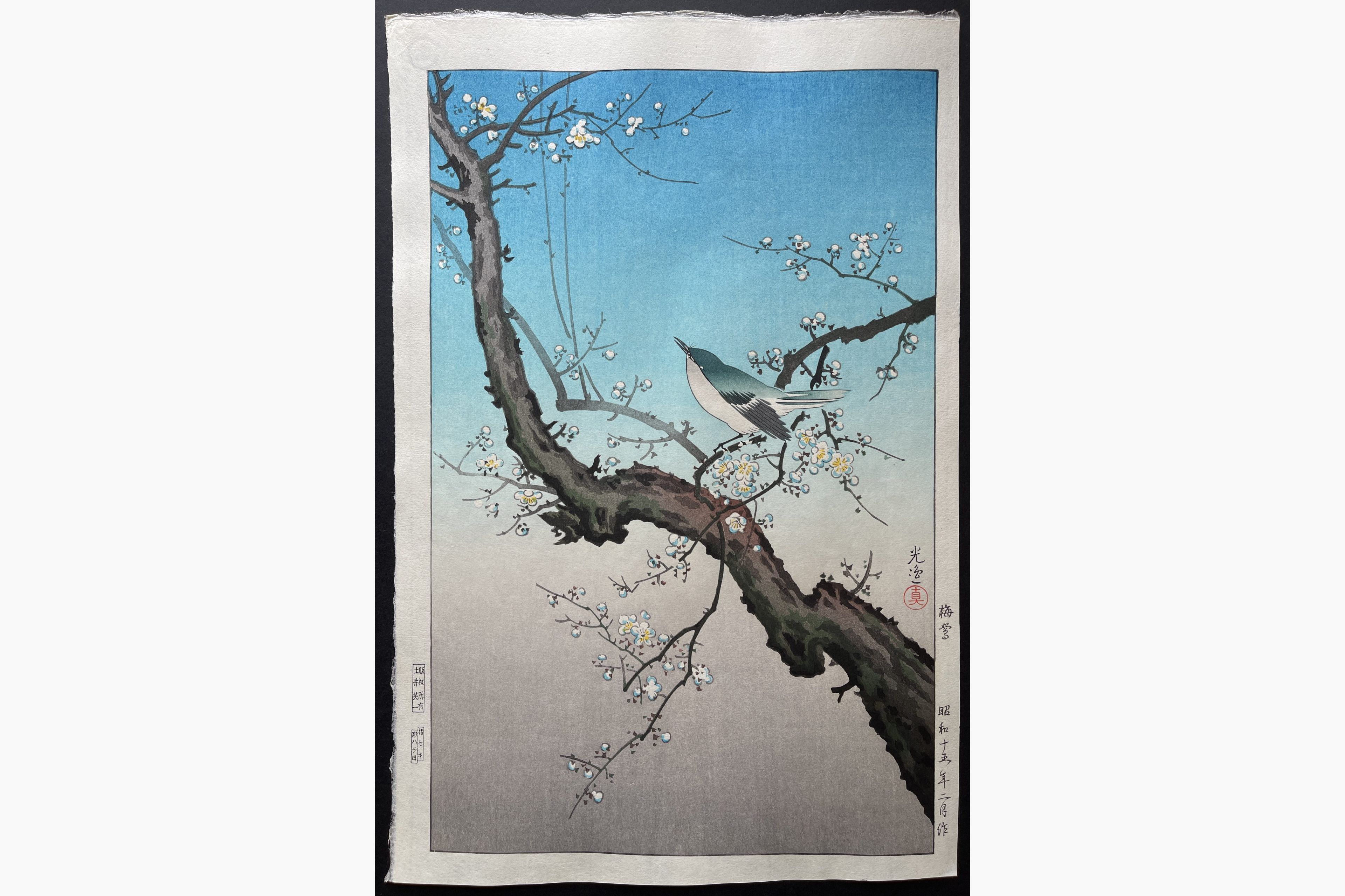 Japanese woodblock print - Tsuchiya Koitsu - Bush Warbler