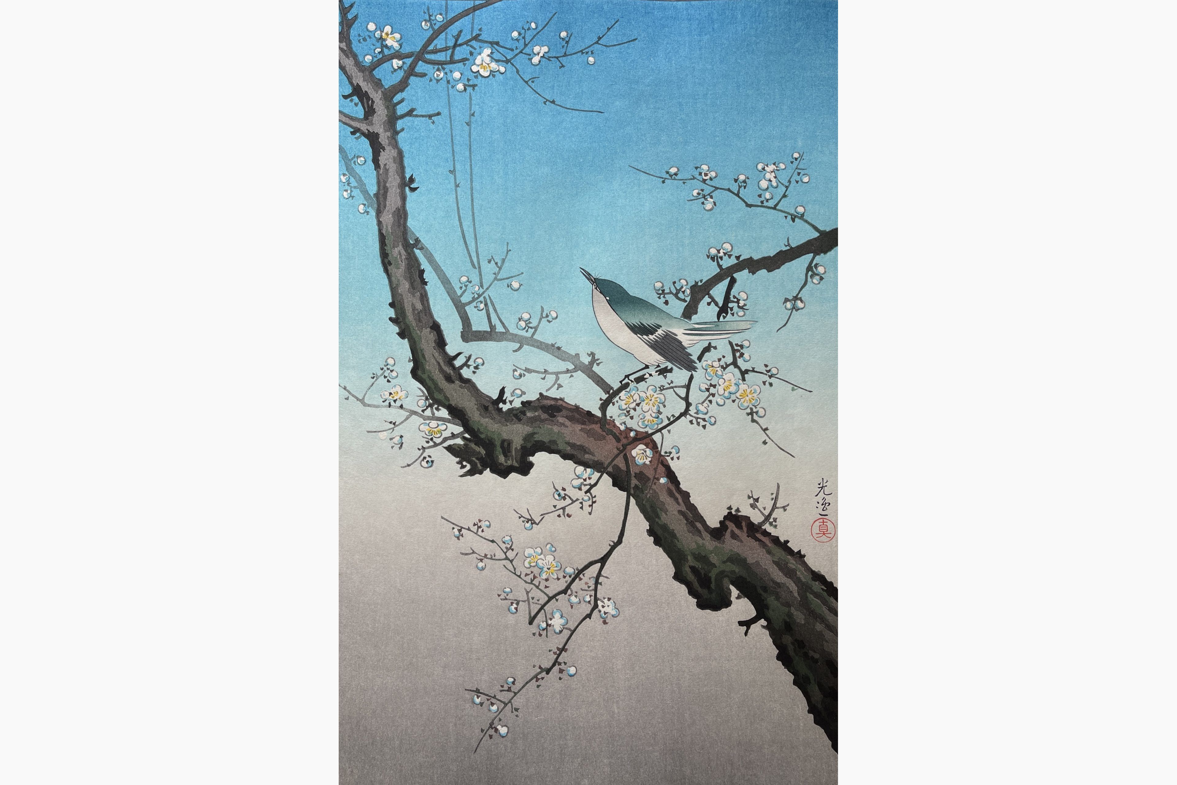 Original woodblock print - Tsuchiya Koitsu - Bush Warbler