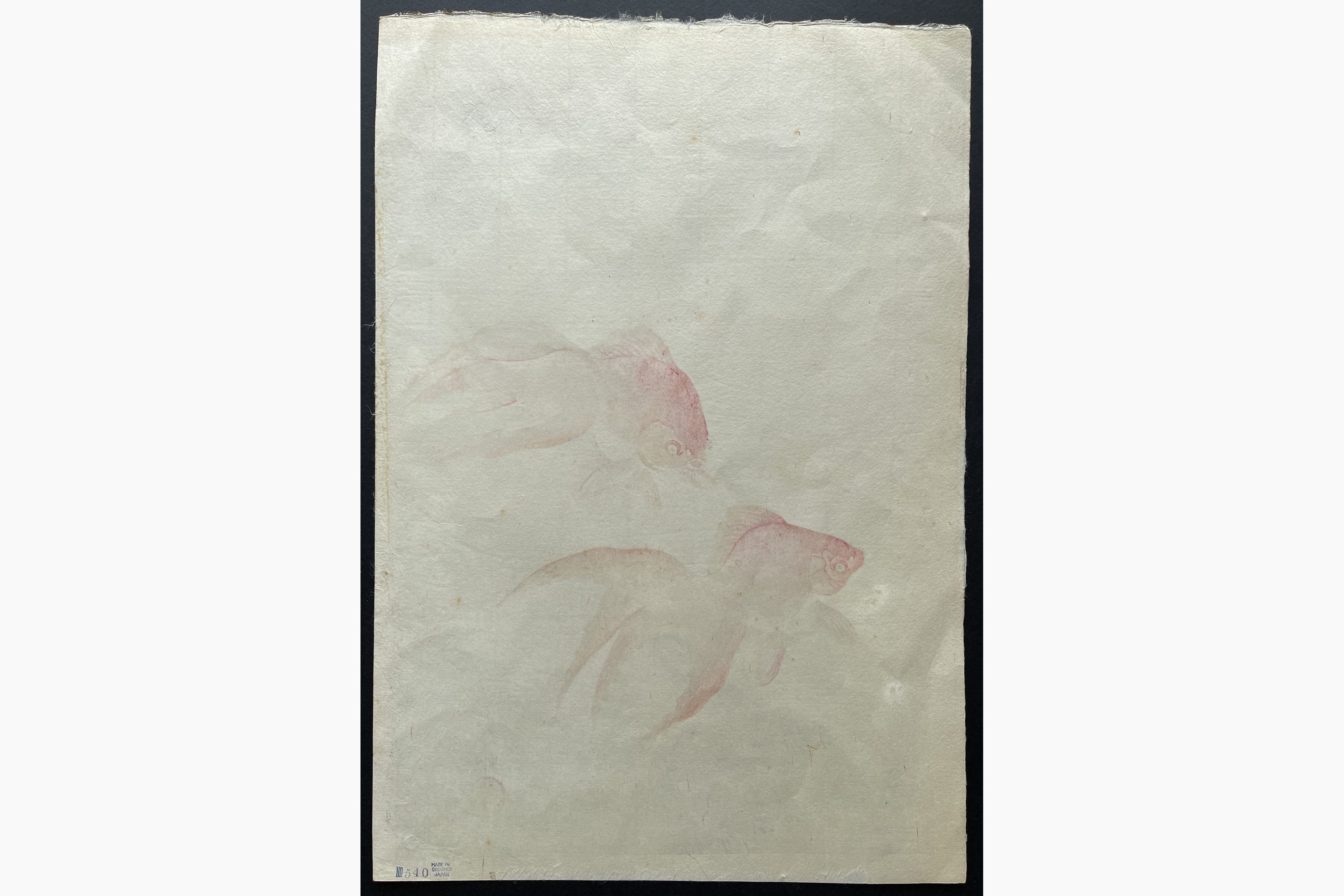 Japanese print - Ohara Koson - Goldfish under Water