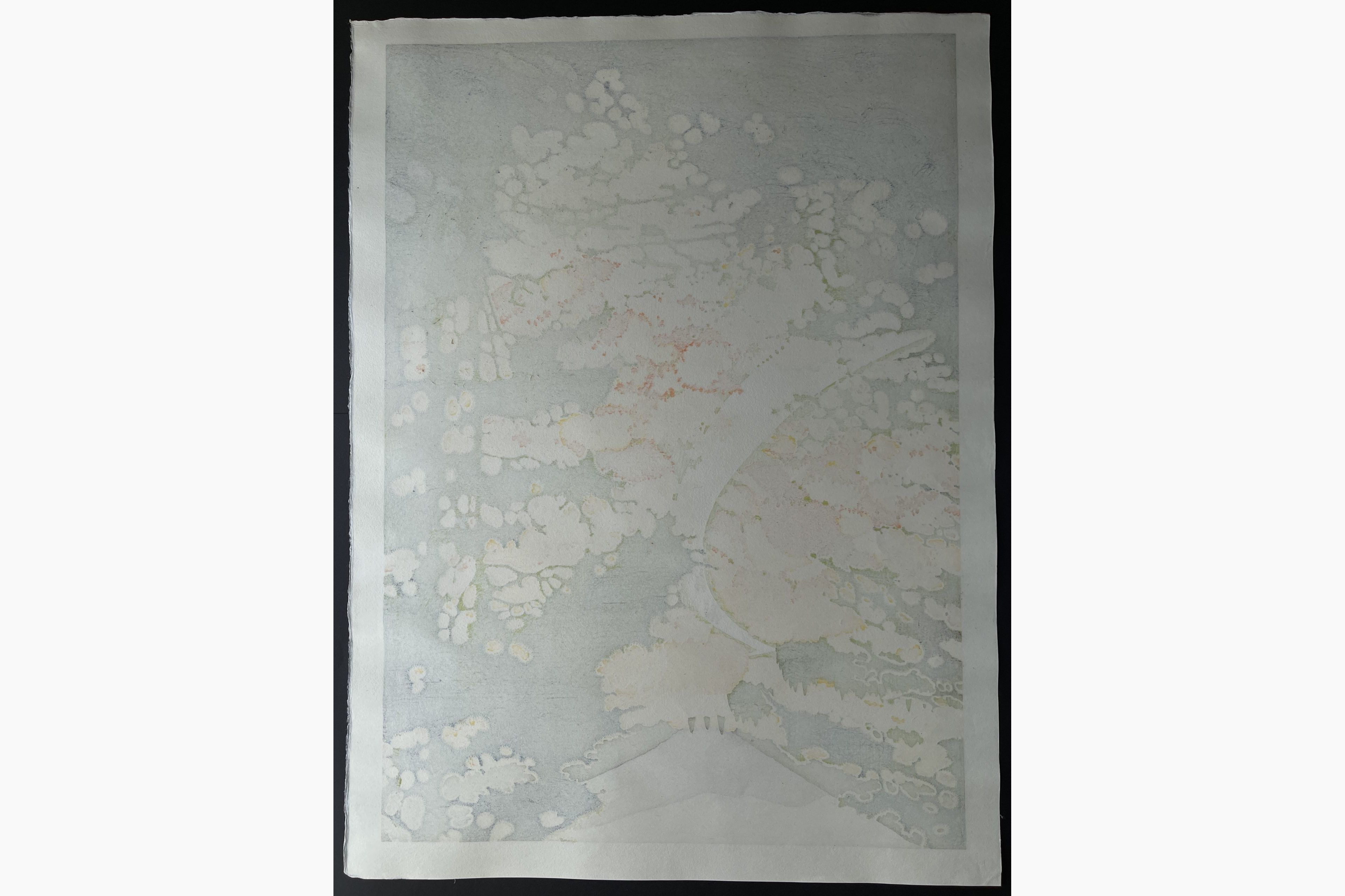 original-woodblock-print-toshi