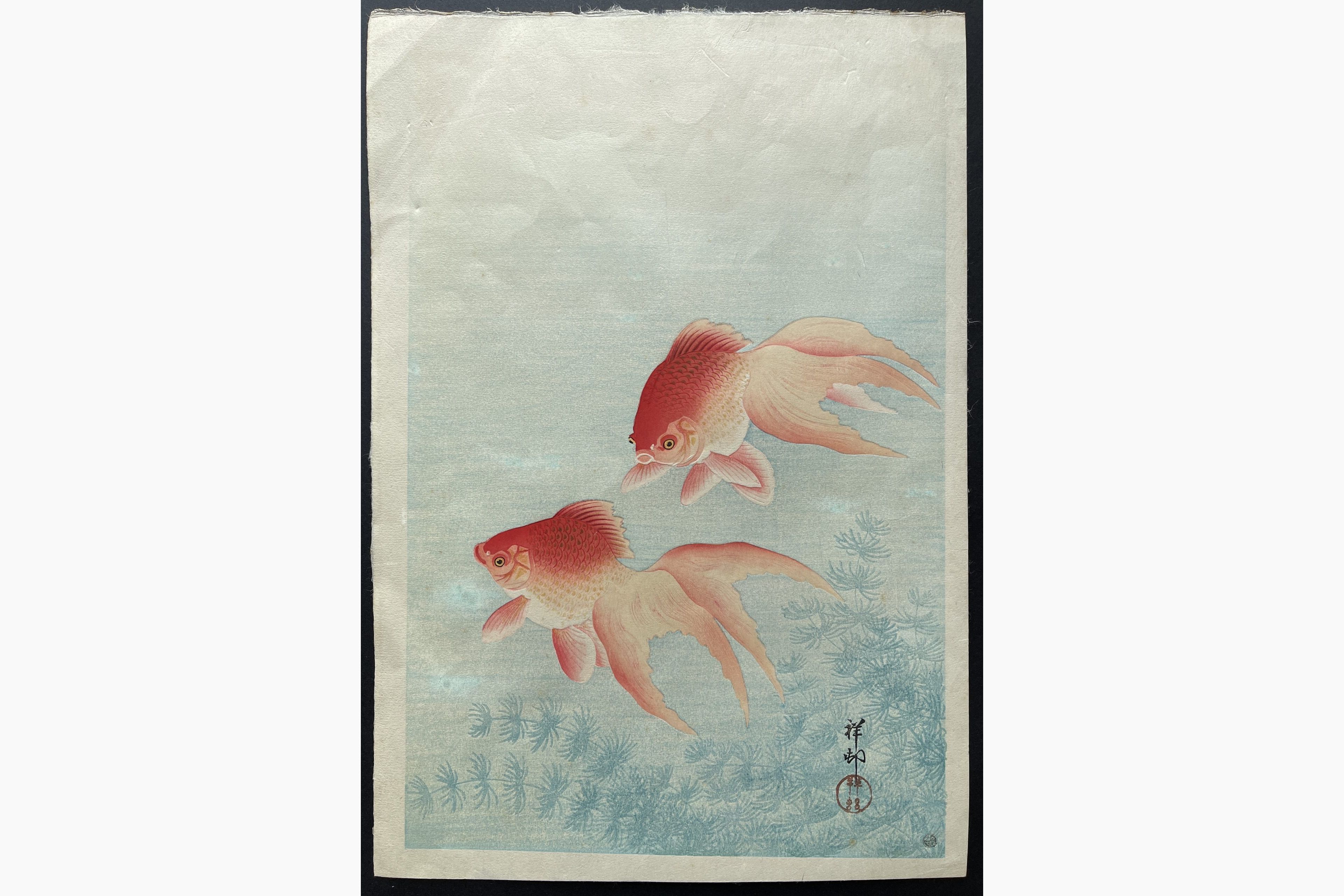 Japanese woodblock print - Ohara Koson - Goldfish under Water