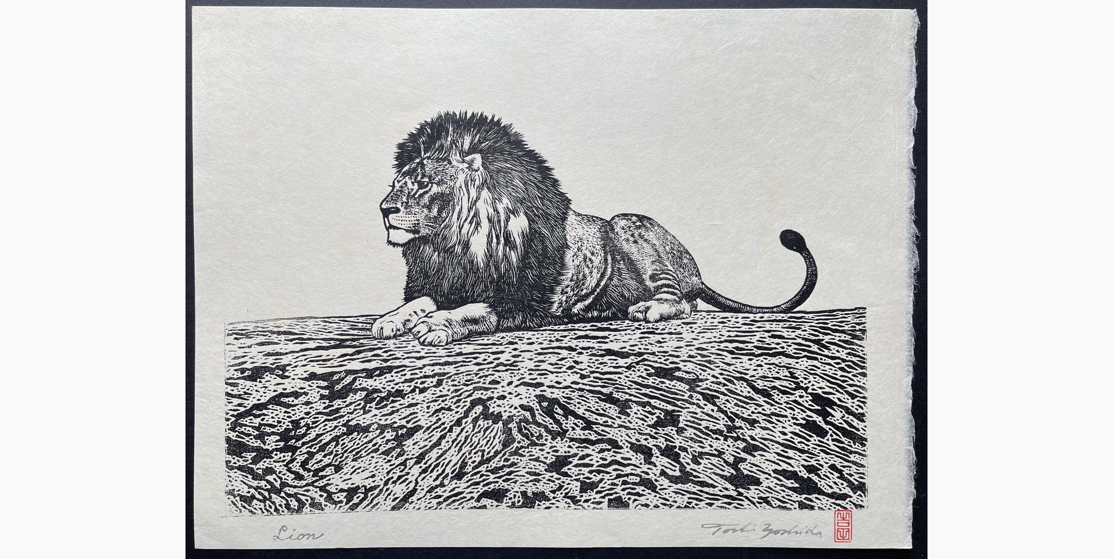 Japanese woodblock print - Toshi Yoshida - Lion (monochrome)