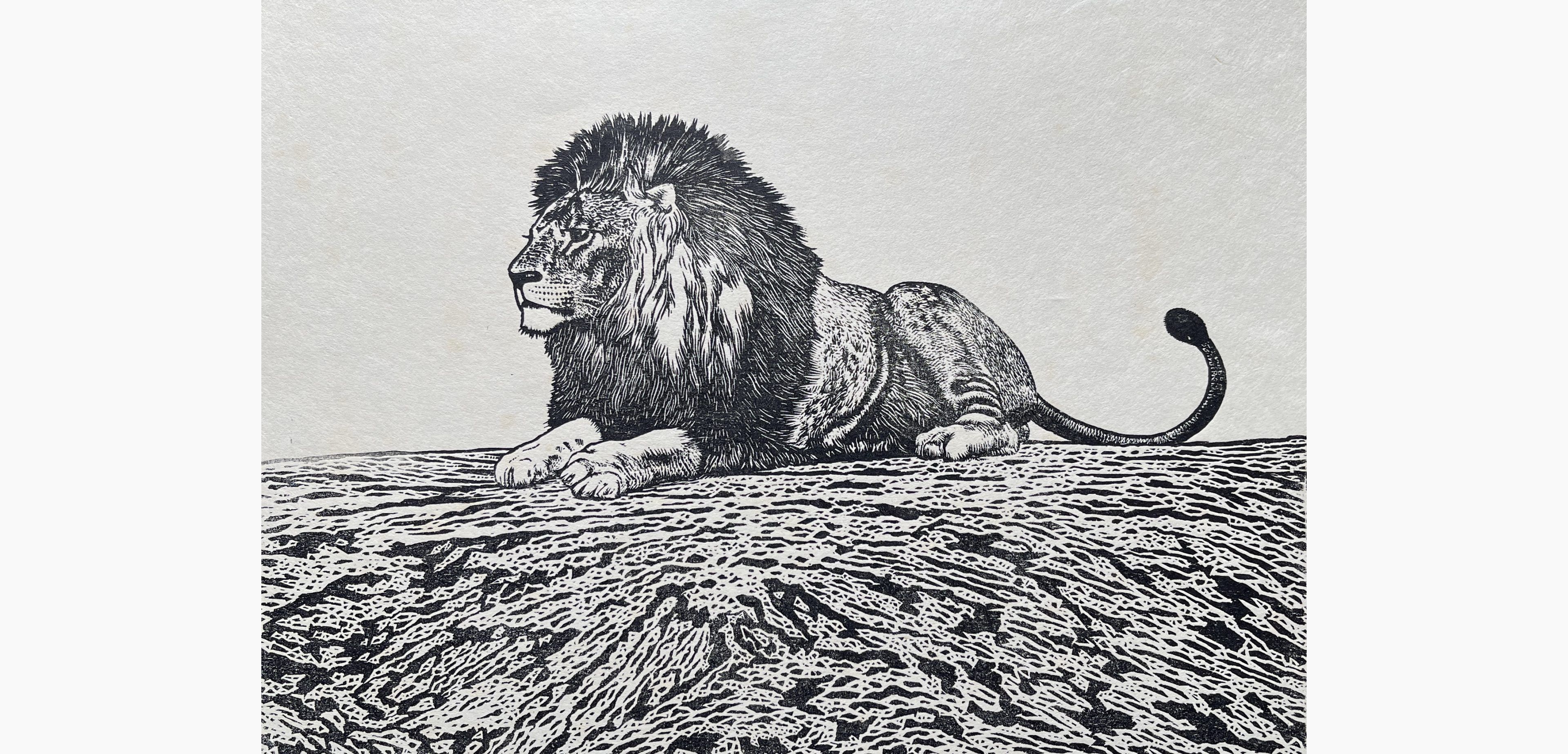 Original woodblock print - Toshi Yoshida - Lion (monochrome)