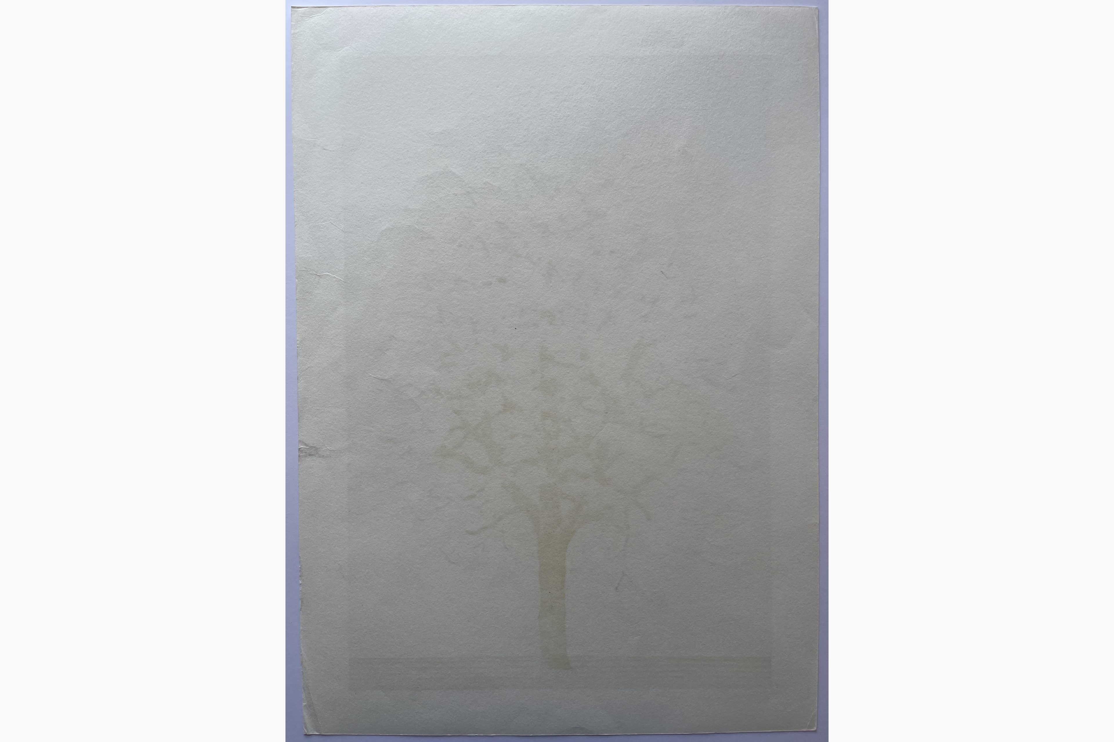Woodblock print - Hajime Namiki - Dogwood 4
