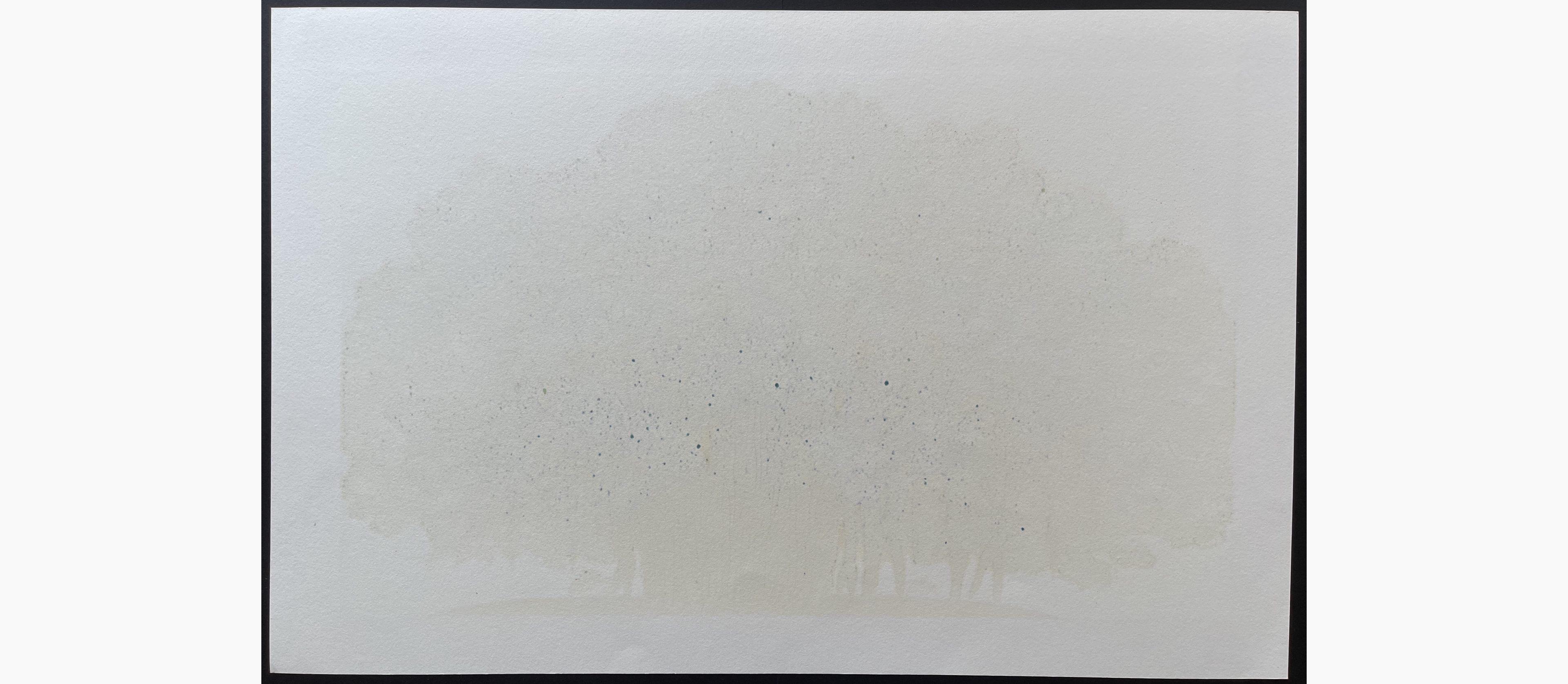 Woodblock print - Hajime Namiki - Igei no Gajimaru (Okinawa)