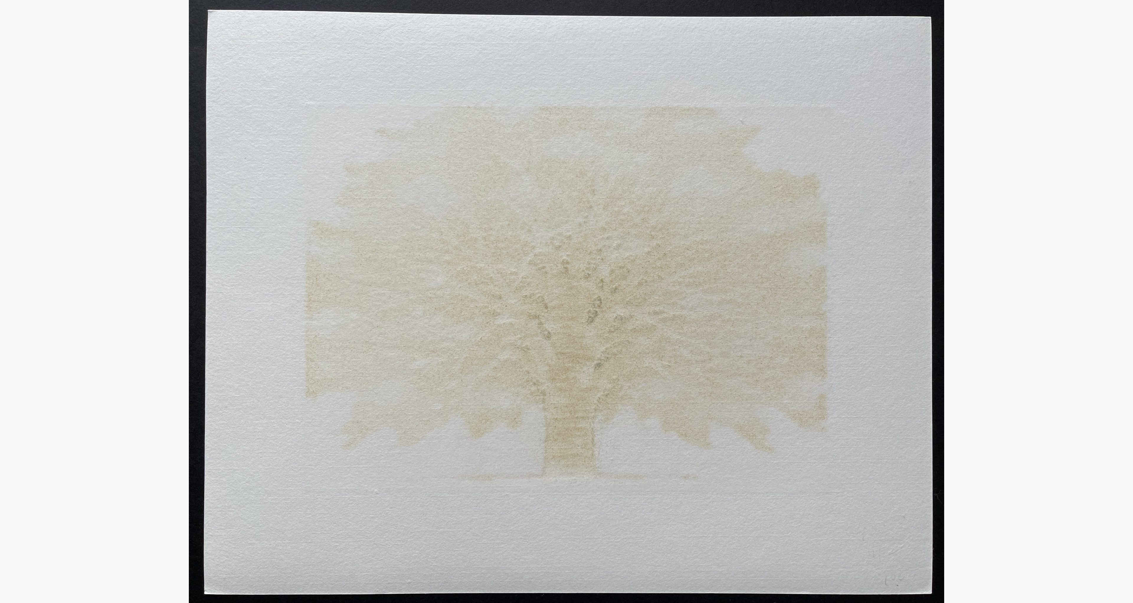 Woodblock print - Hajime Namiki - Tree scene 55