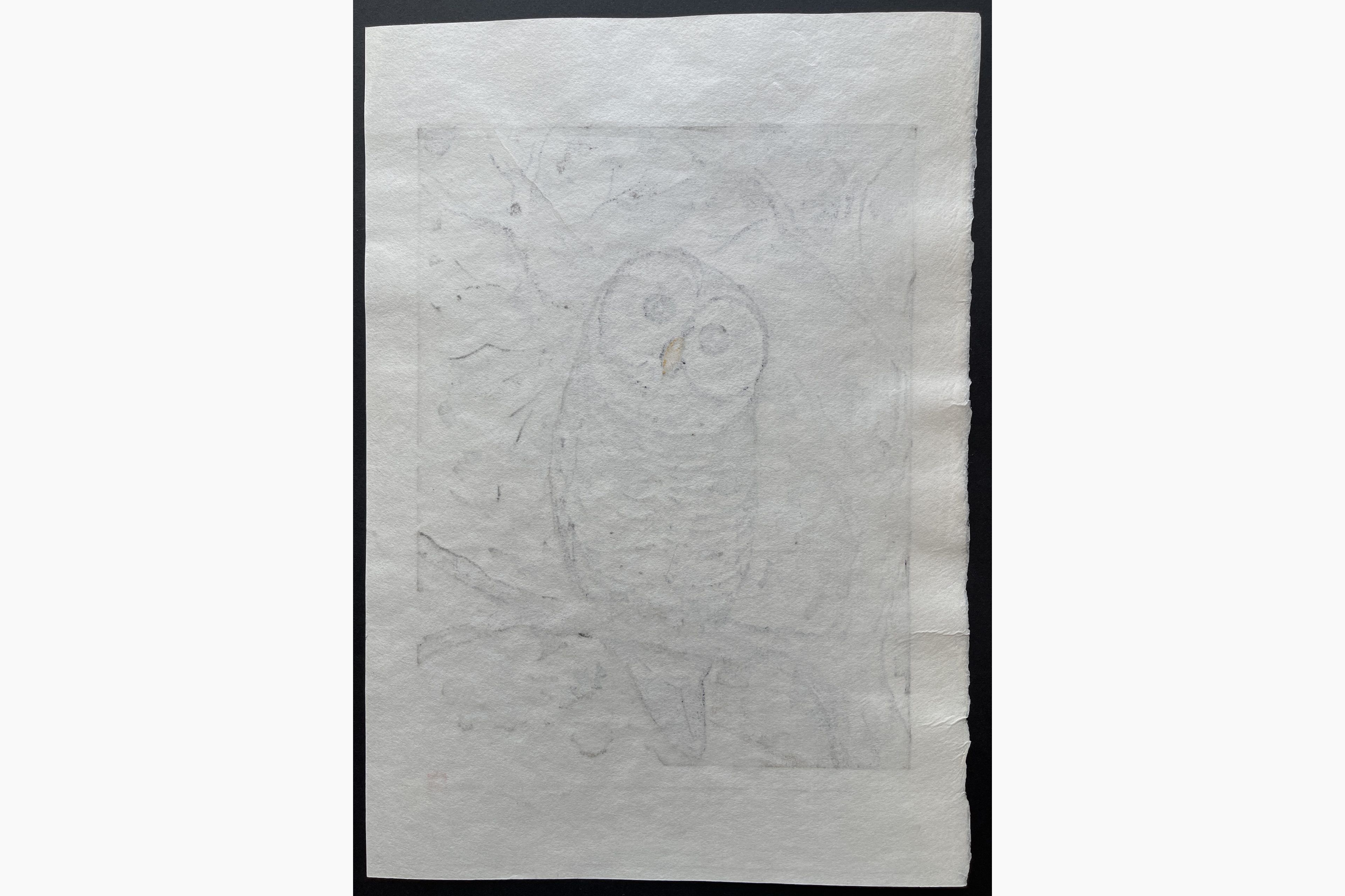 Japanese print - Fu Takenaka - Owl - Be Happy
