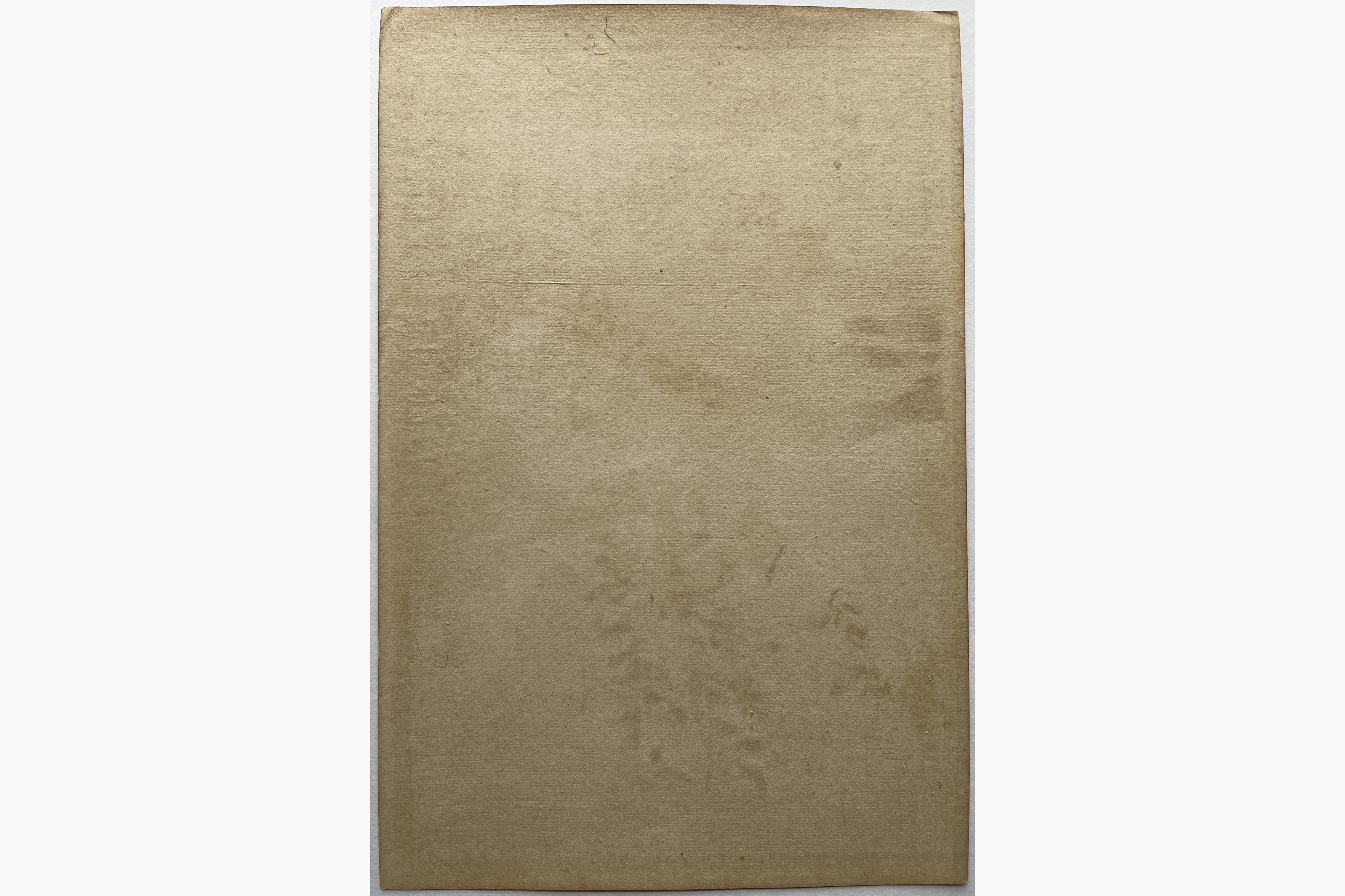 Japanese print - Gekko Ogata - Chrysanthemums