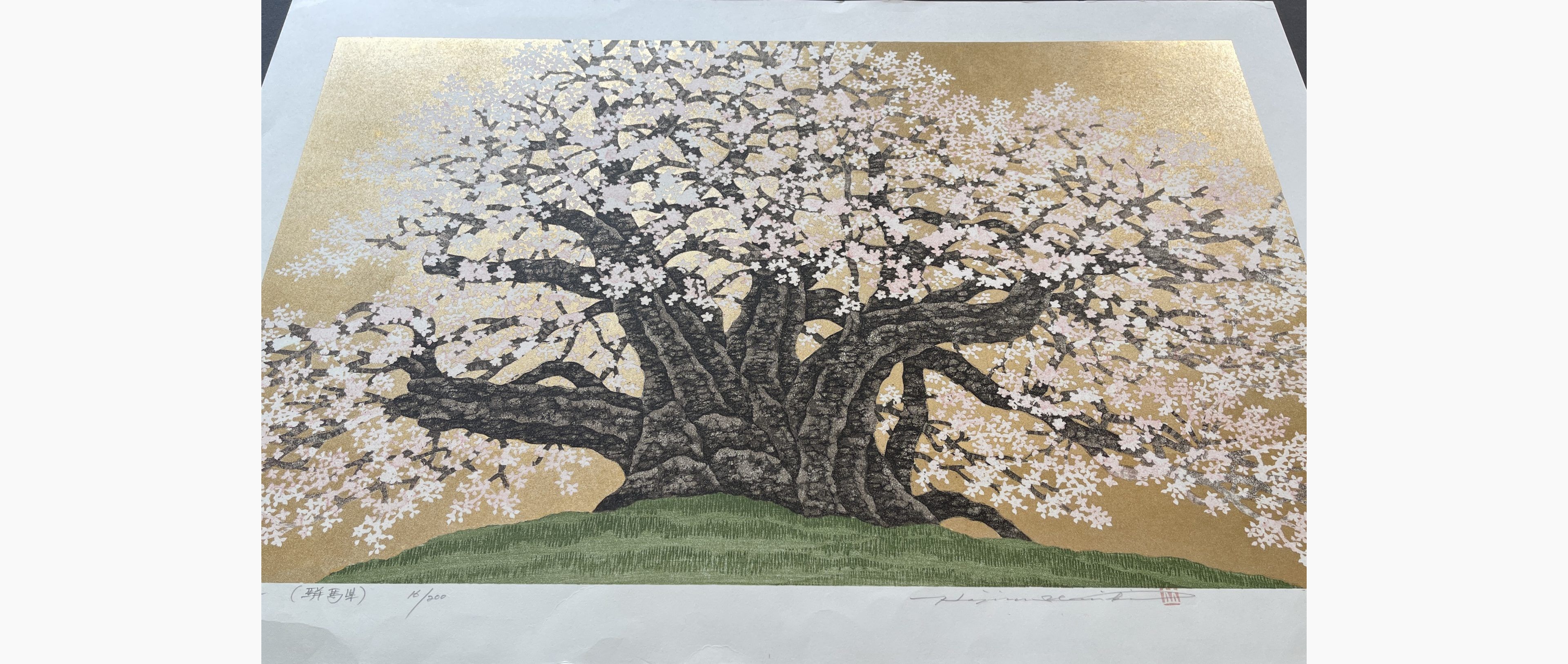 Japanese print - Hajime Namiki - Cherry of Hotchi 2 (Gunma)