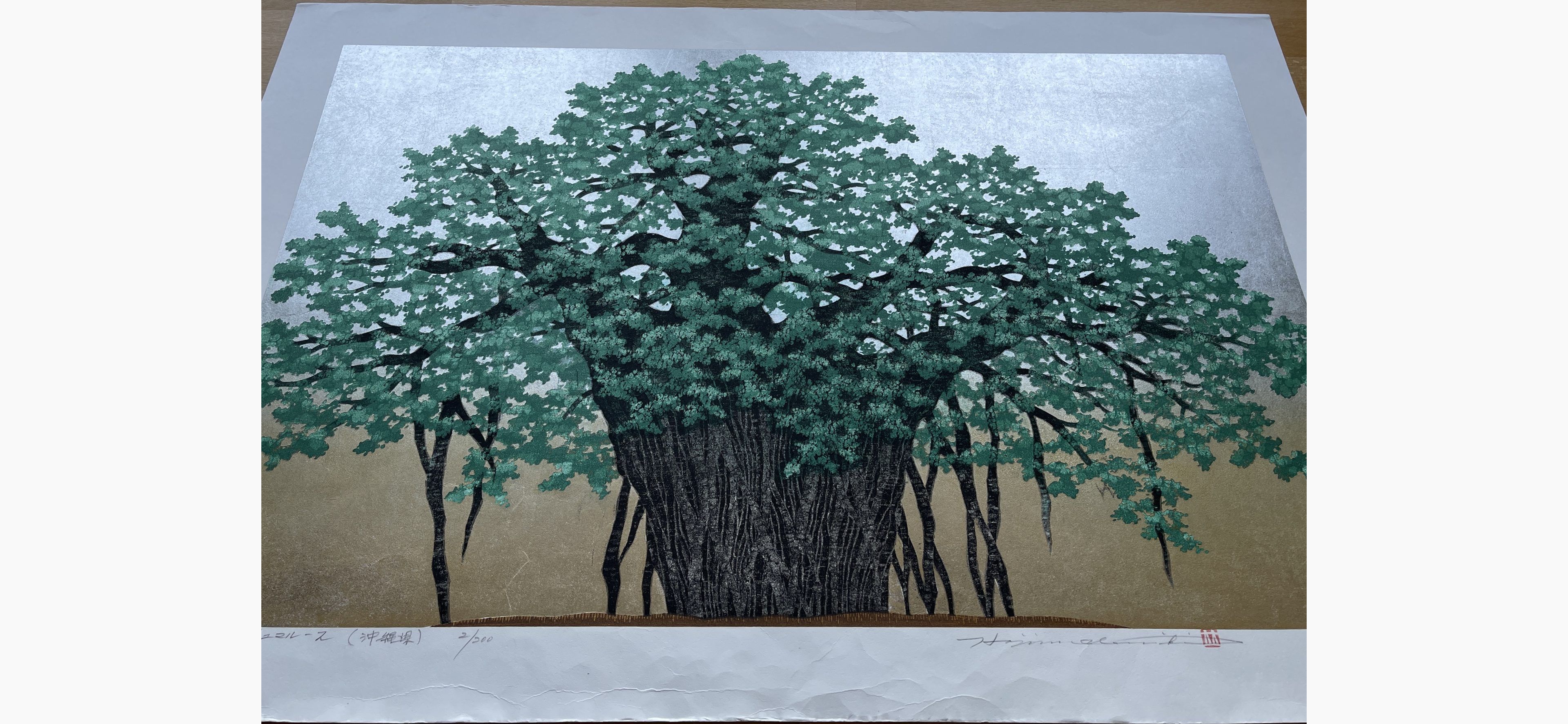 Japanese print - Hajime Namiki - Hinpun Gajumaru - 2 (Okinawa)