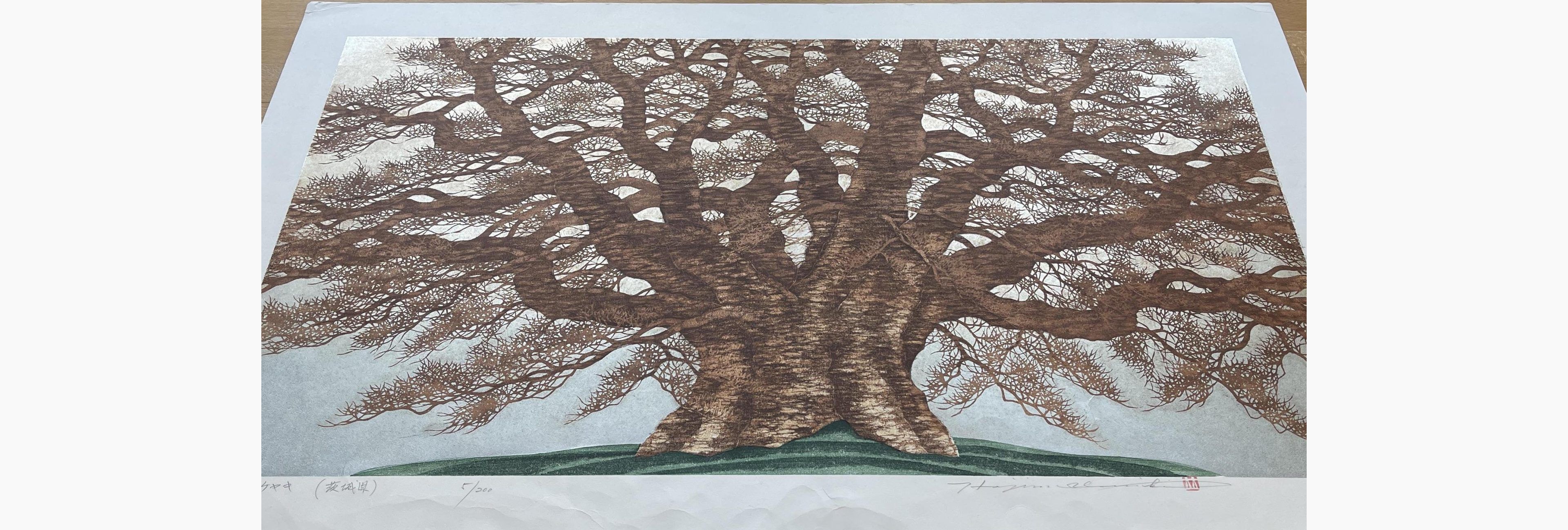 Japanese print - Hajime Namiki - Saruhami Zelkova