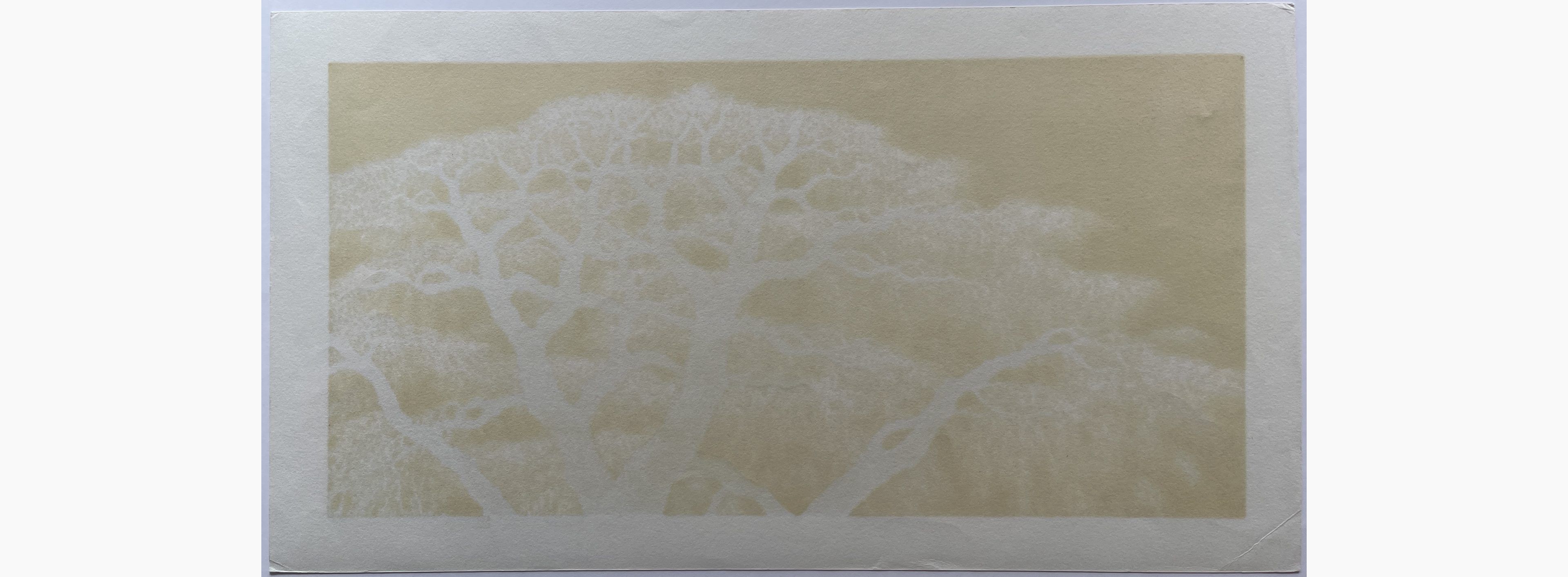 Japanese print - Hajime Namiki - Shidare Sakura 7
