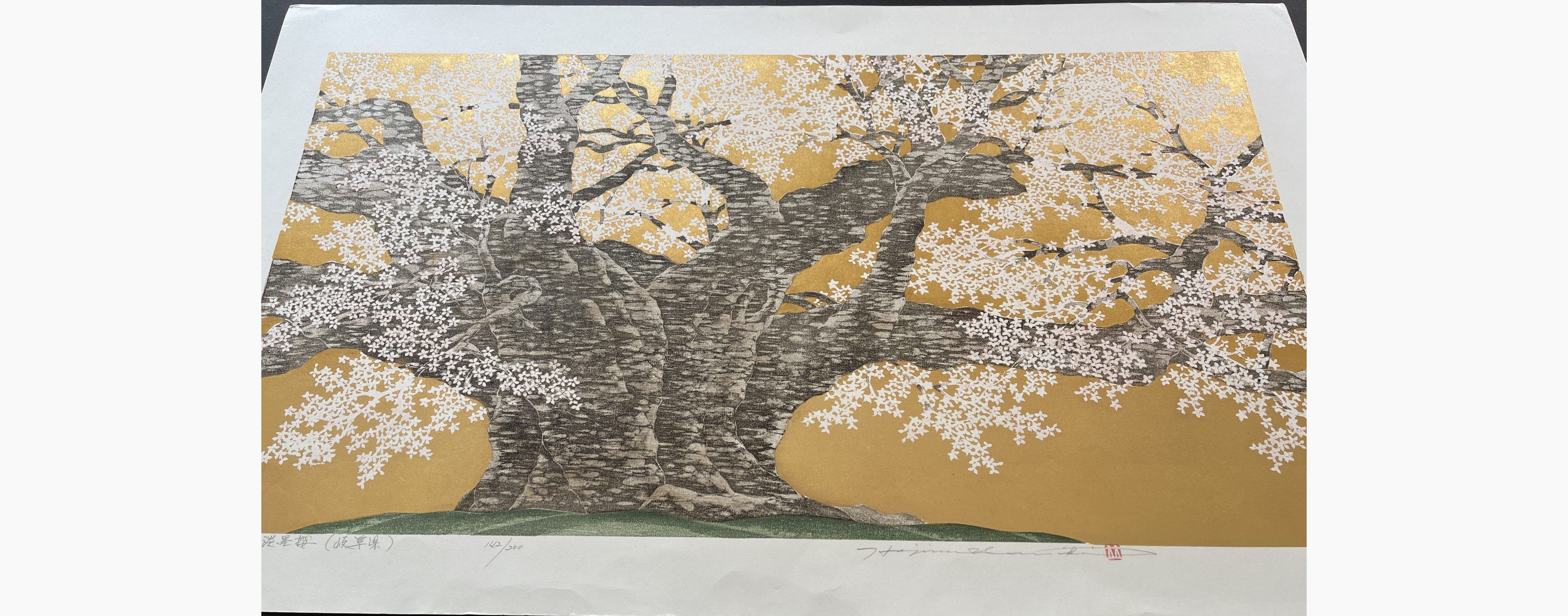 Japanese print - Hajime Namiki - Usuzumi Cherry of Iotani (Gifu)
