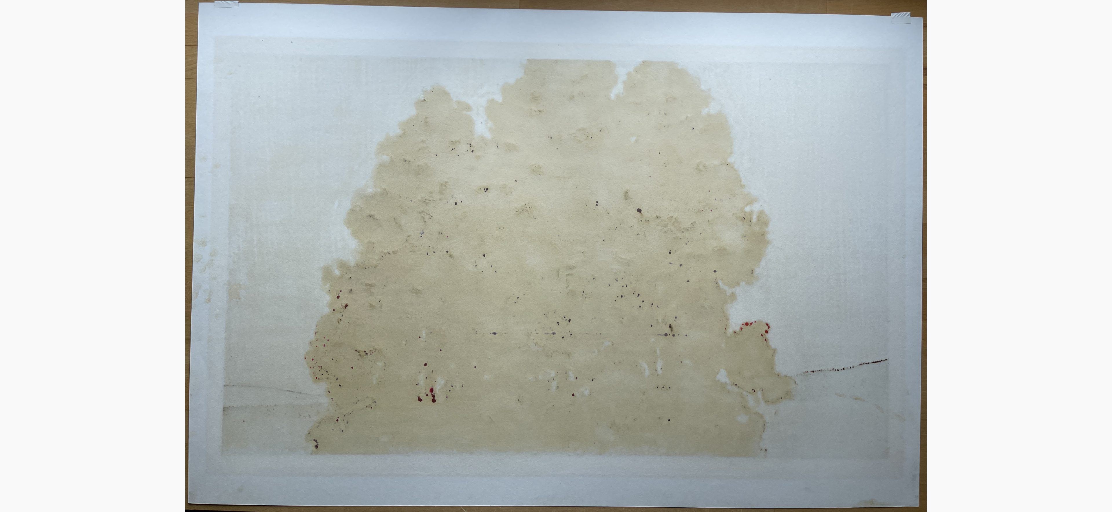 Japanese print - Joichi Hoshi - Cedar
