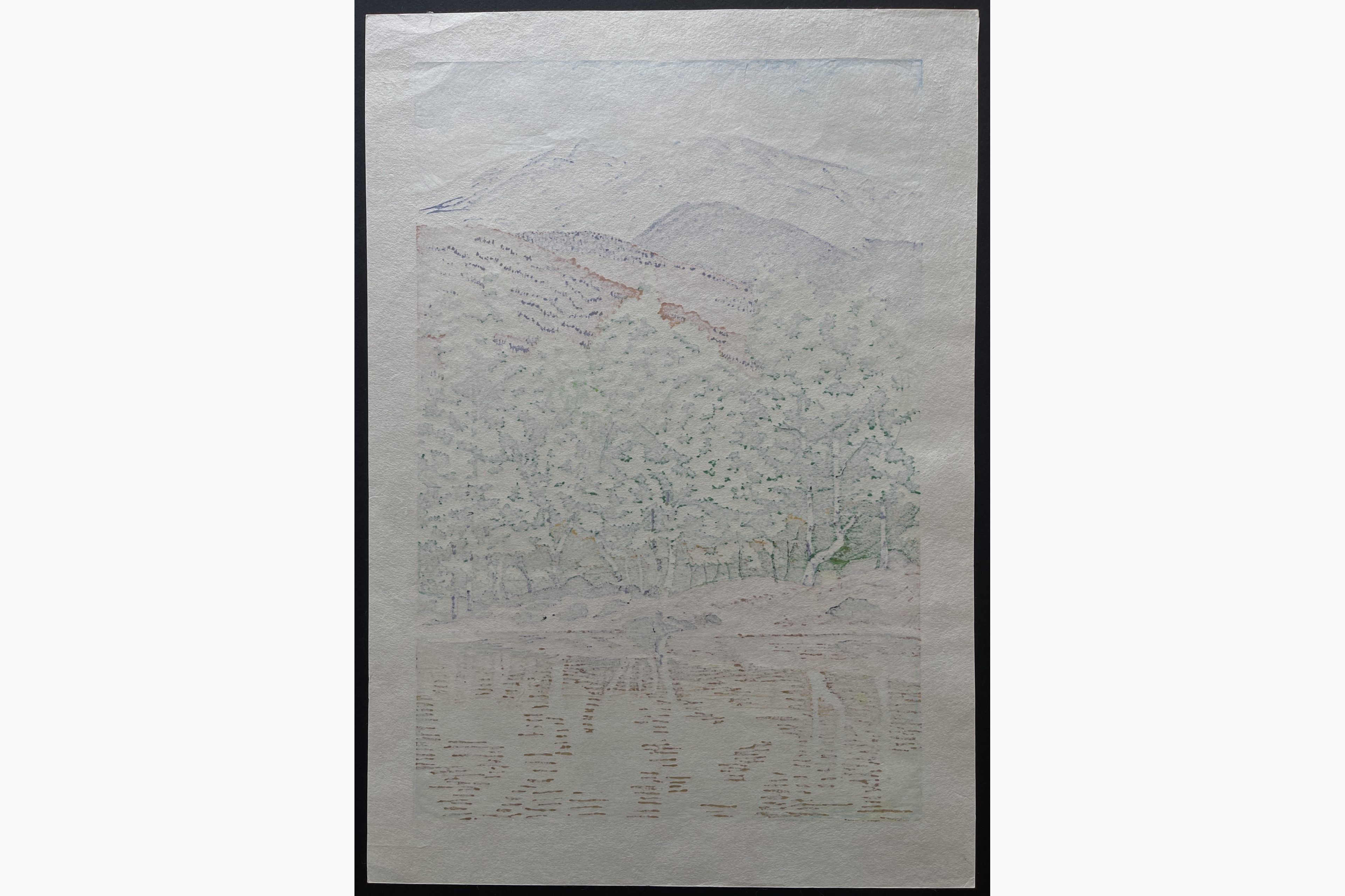 Japanese print - Kasamatsu Mihoko - Fresh green on the Norikura Plateau