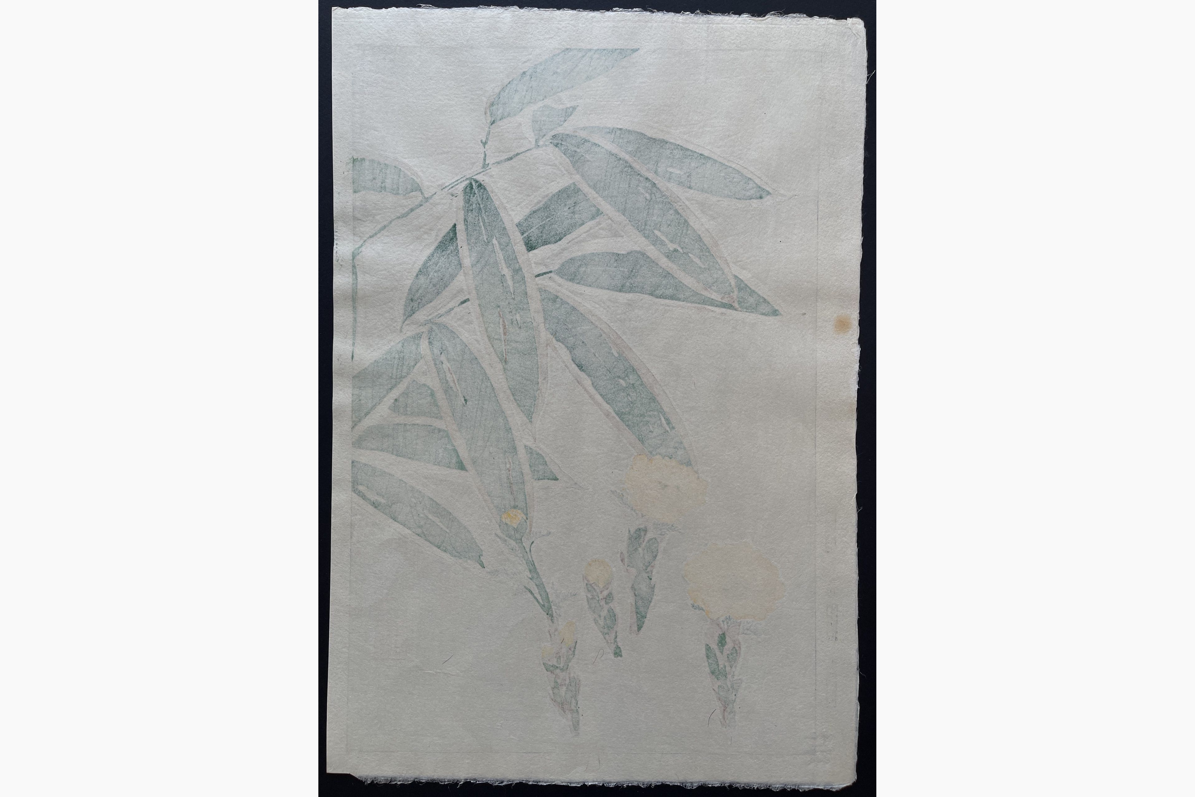 Japanese print - Kawarazaki Shodo - Adonis and Bamboo