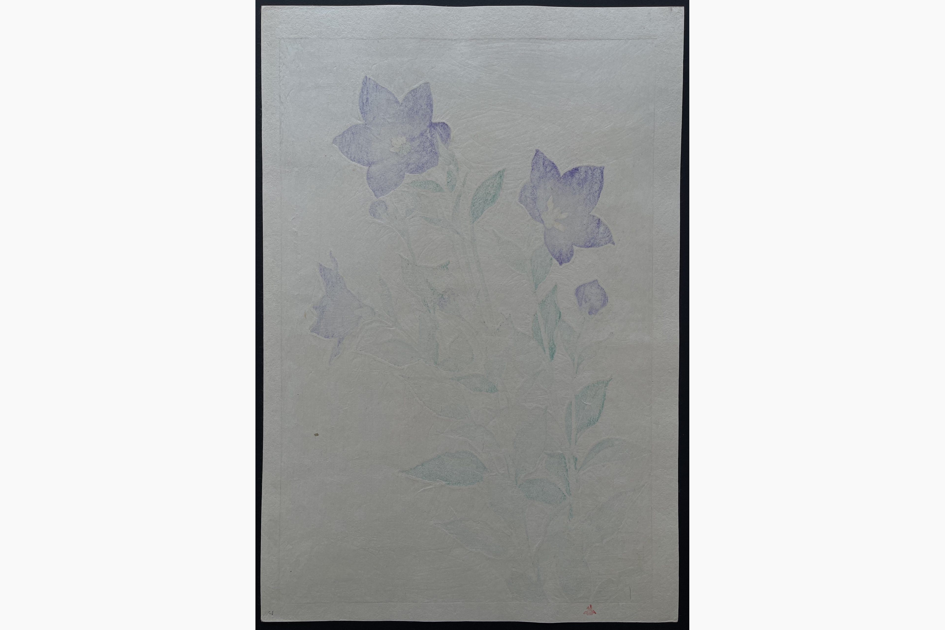 Japanese print - Kawarazaki Shodo - Bellflower