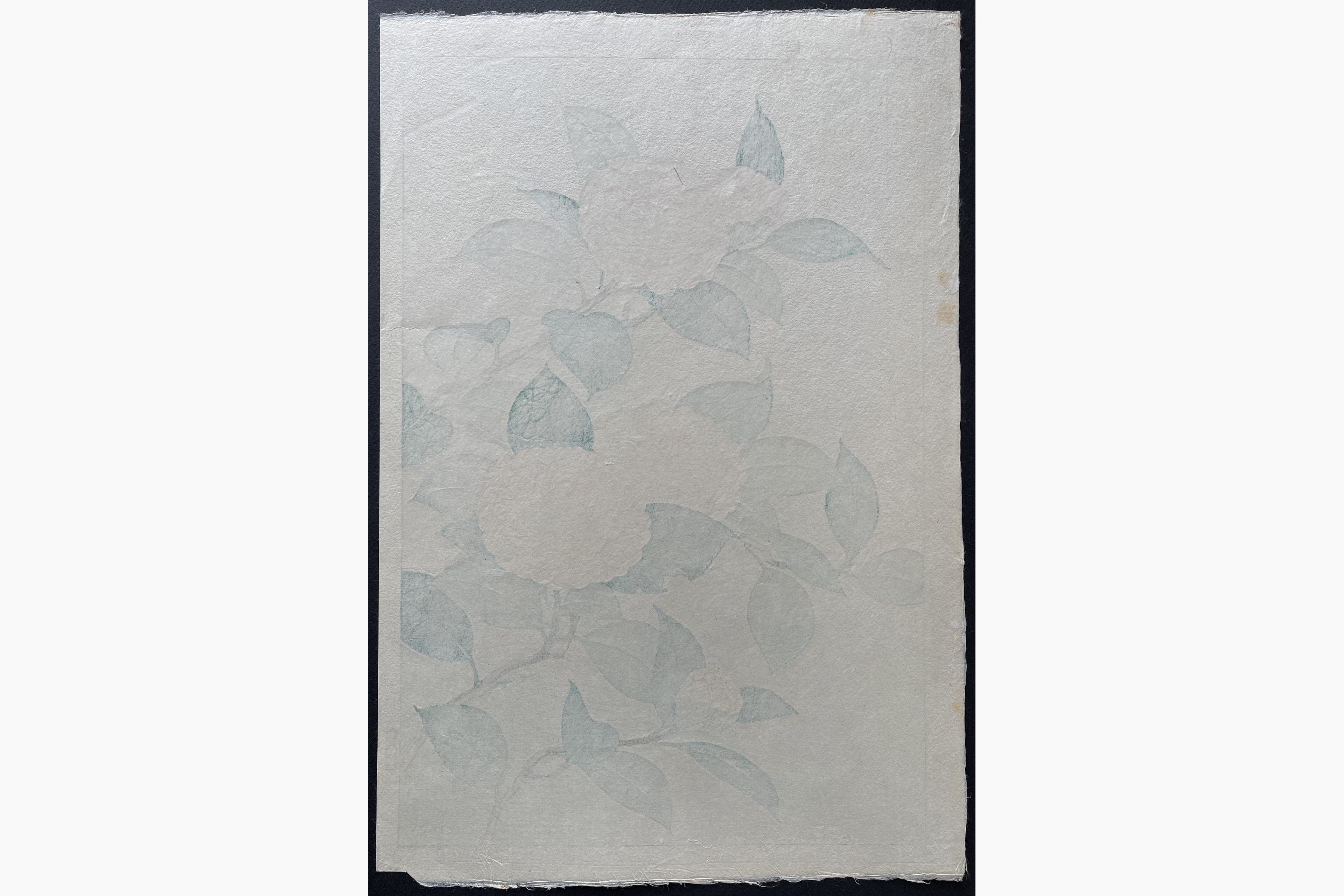 Japanese print - Kawarazaki Shodo - Camelia