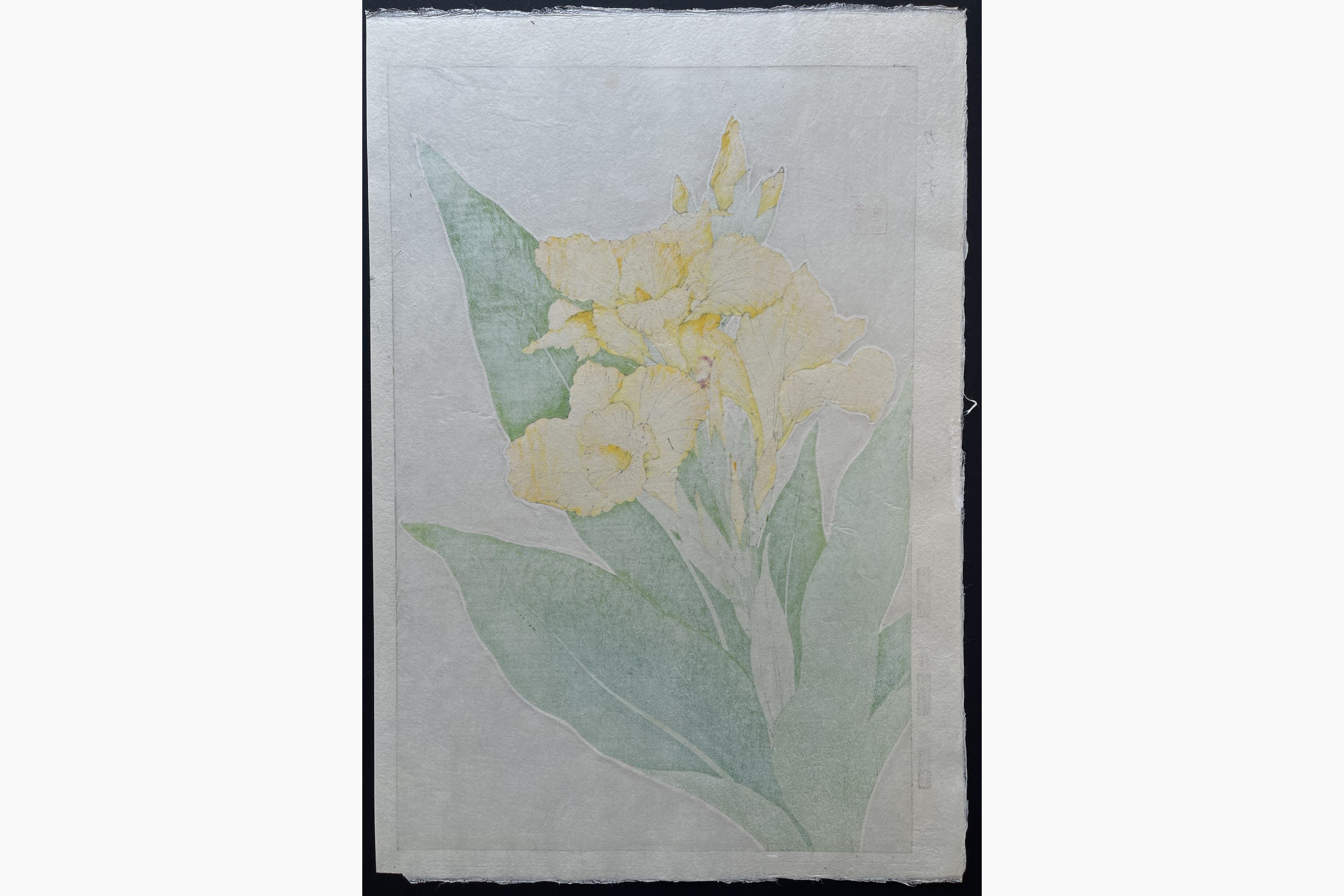 Japanese print - Kawarazaki Shodo - Canna