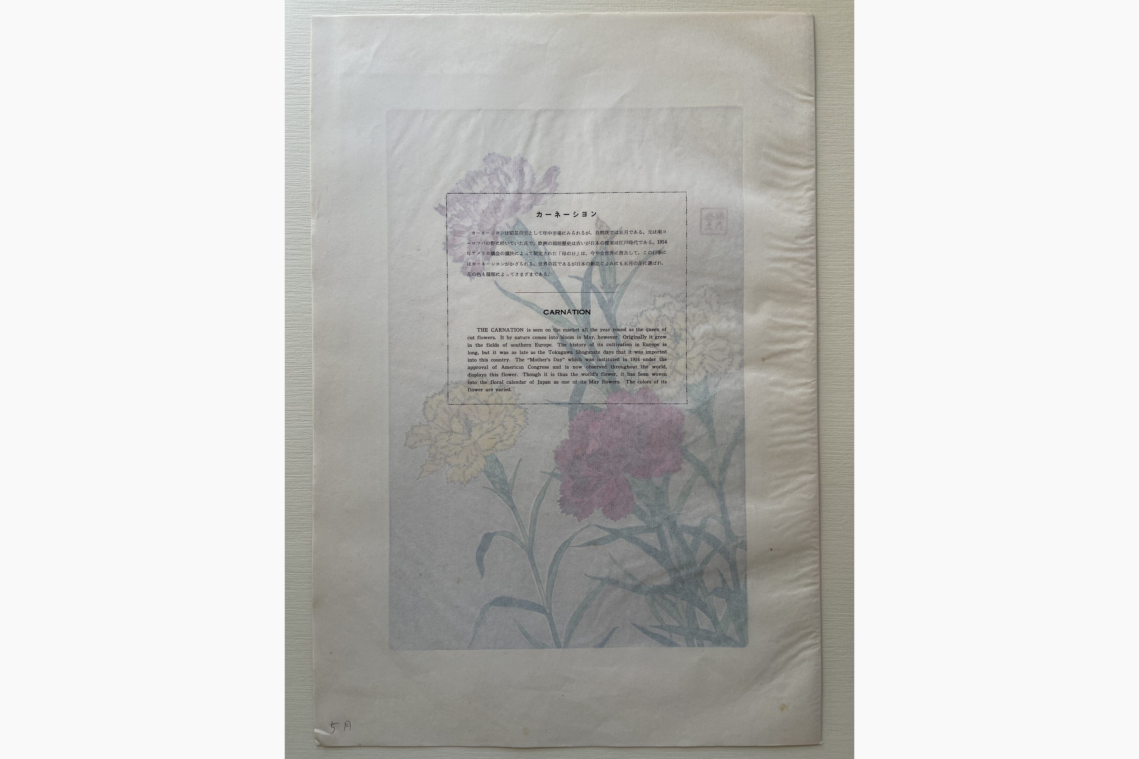 Japanese print - Kawarazaki Shodo - Carnation