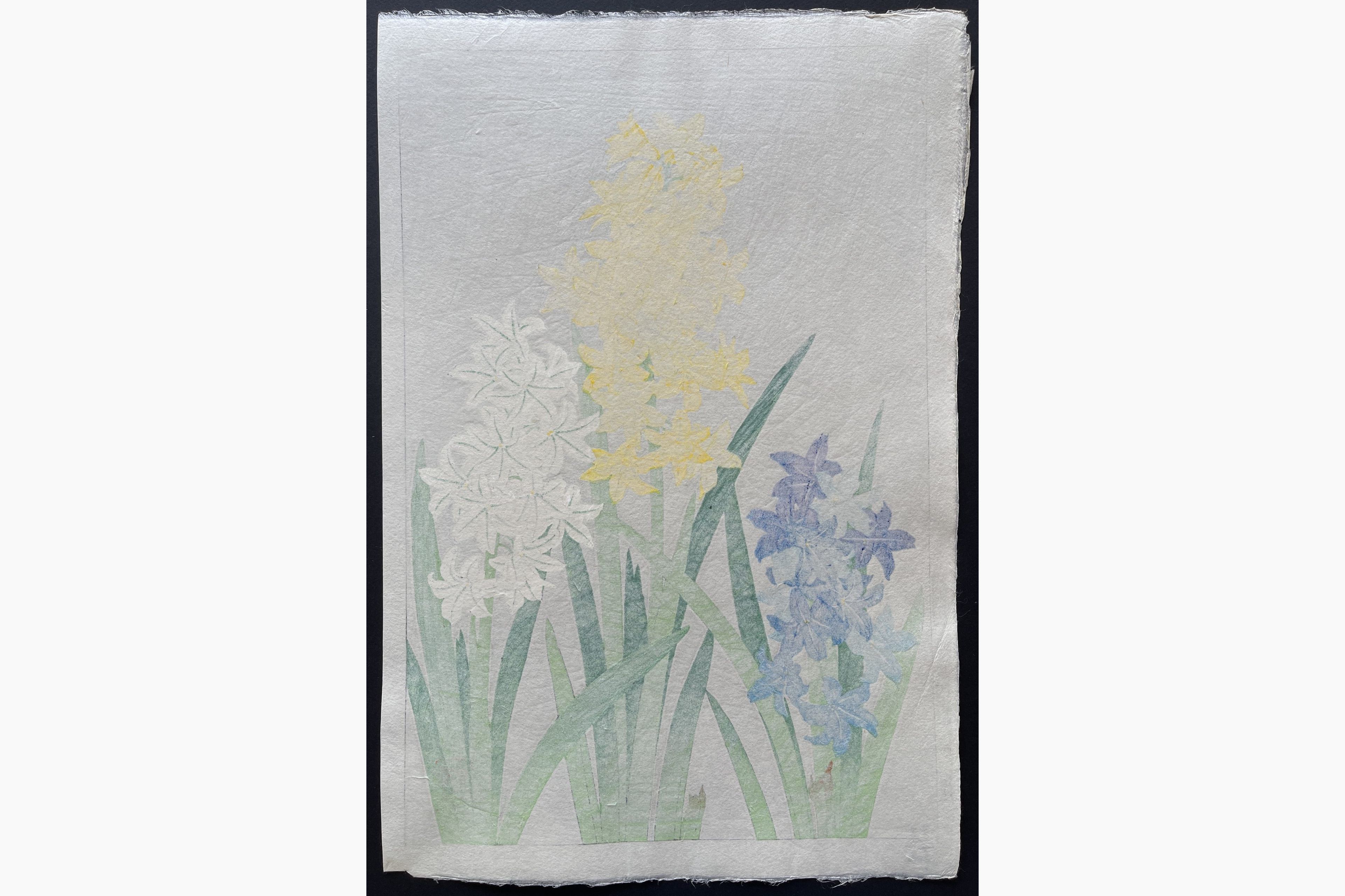 Japanese print - Kawarazaki Shodo - Hyacinth