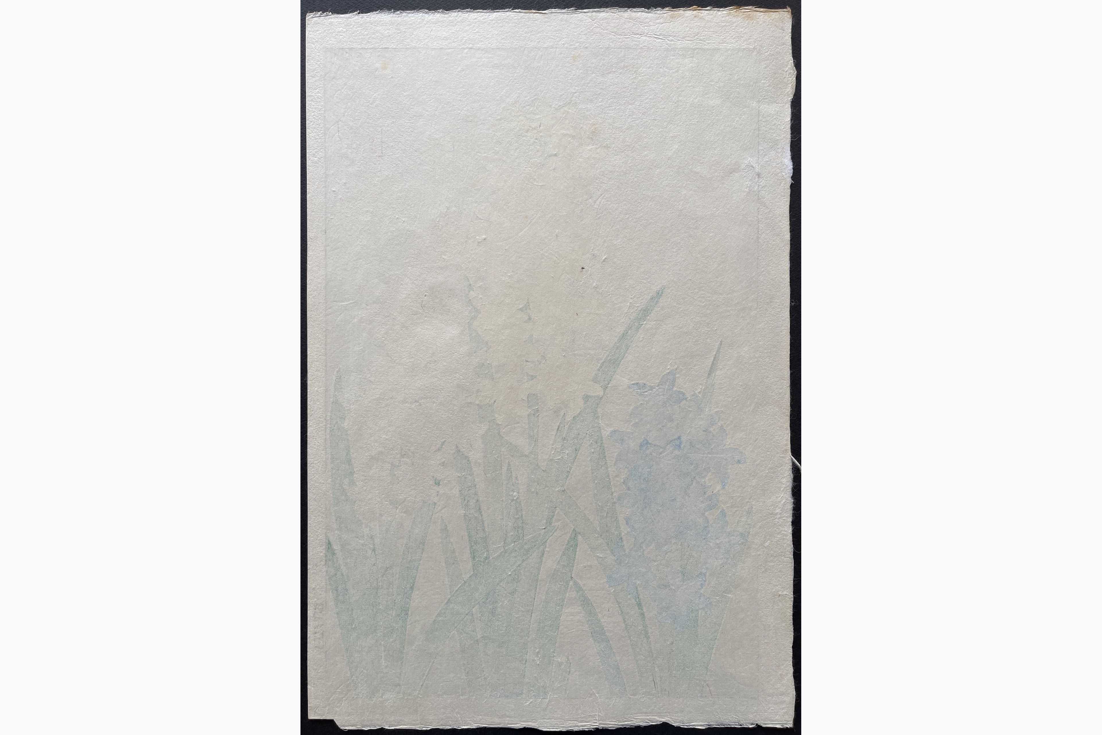 Japanese print - Kawarazaki Shodo - Hyacinth