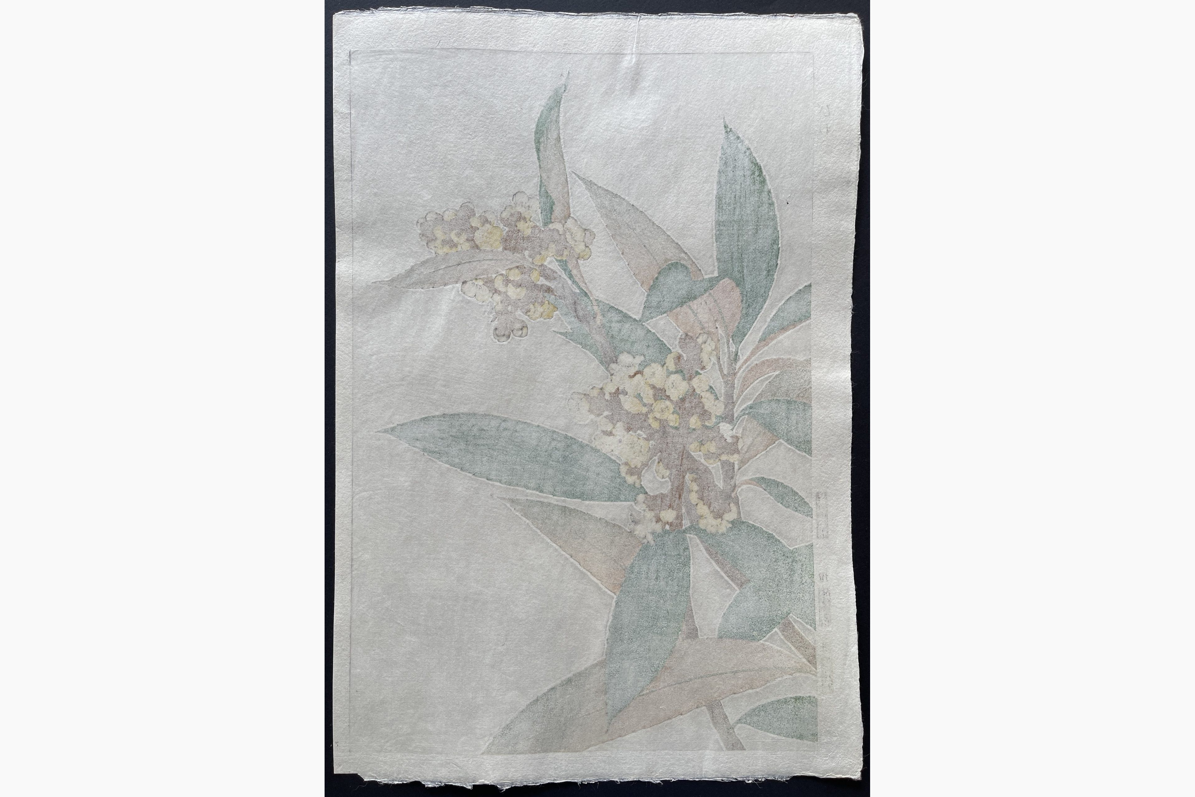 Japanese print - Kawarazaki Shodo - Loquat