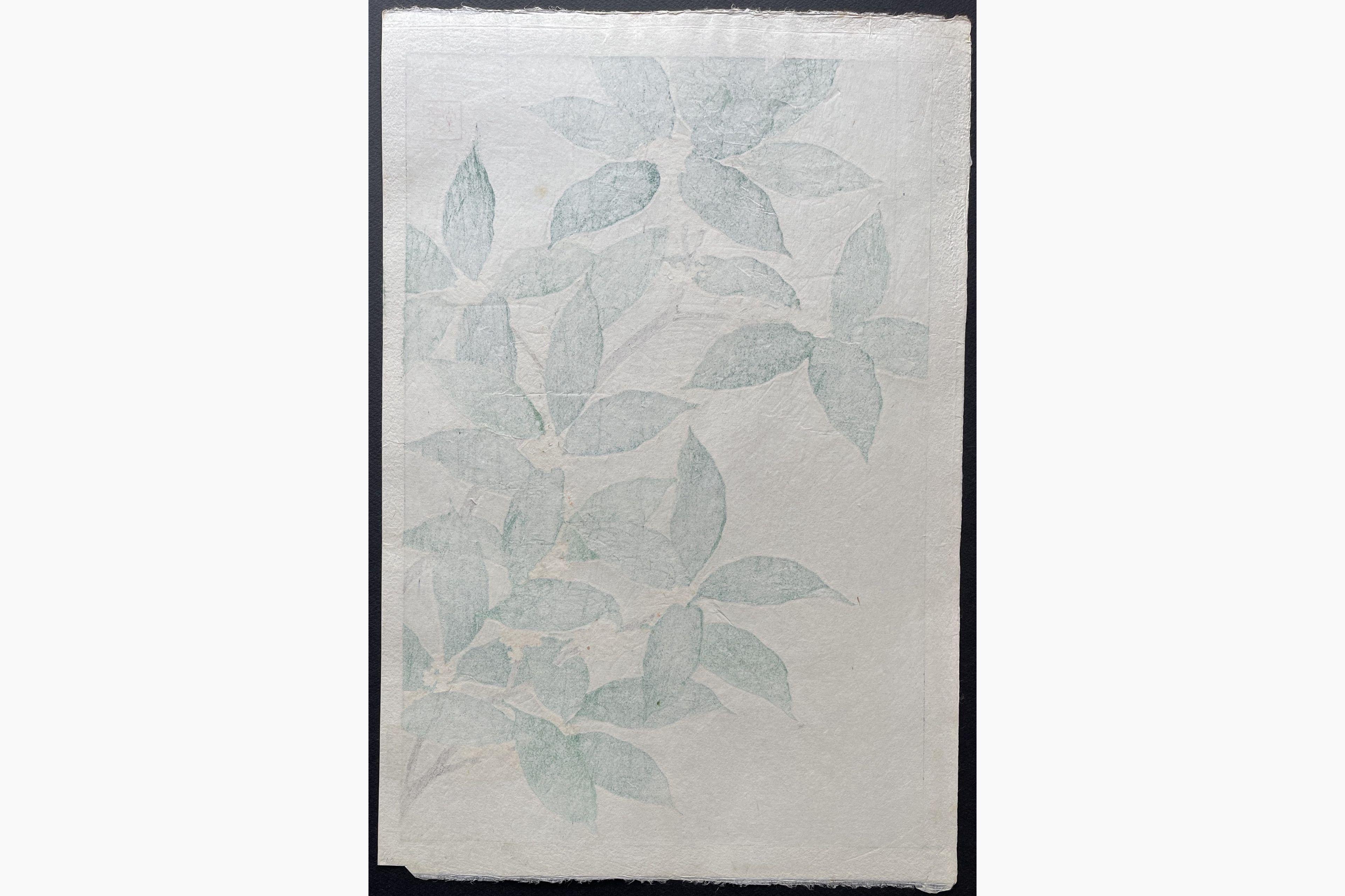 Japanese print - Kawarazaki Shodo - Olea Fragrans