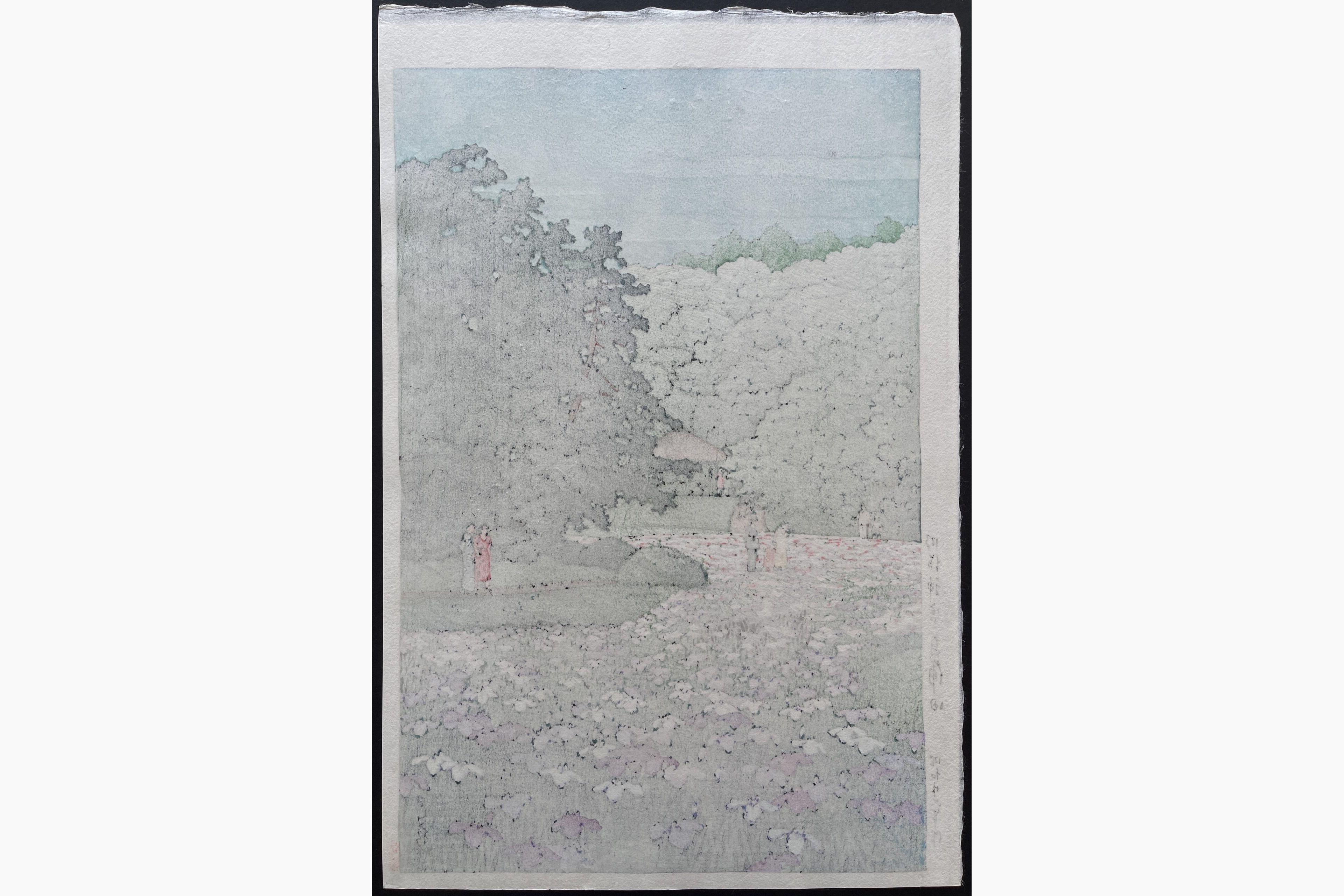Japanese print - Kawase Hasui - Iris Garden, Meiji Shrine