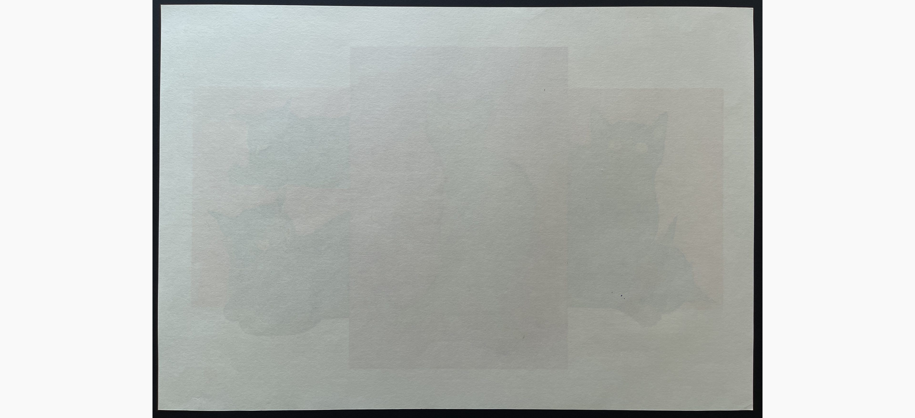 Japanese print - Nishida Tadashige - Cat Series (203) Various cats