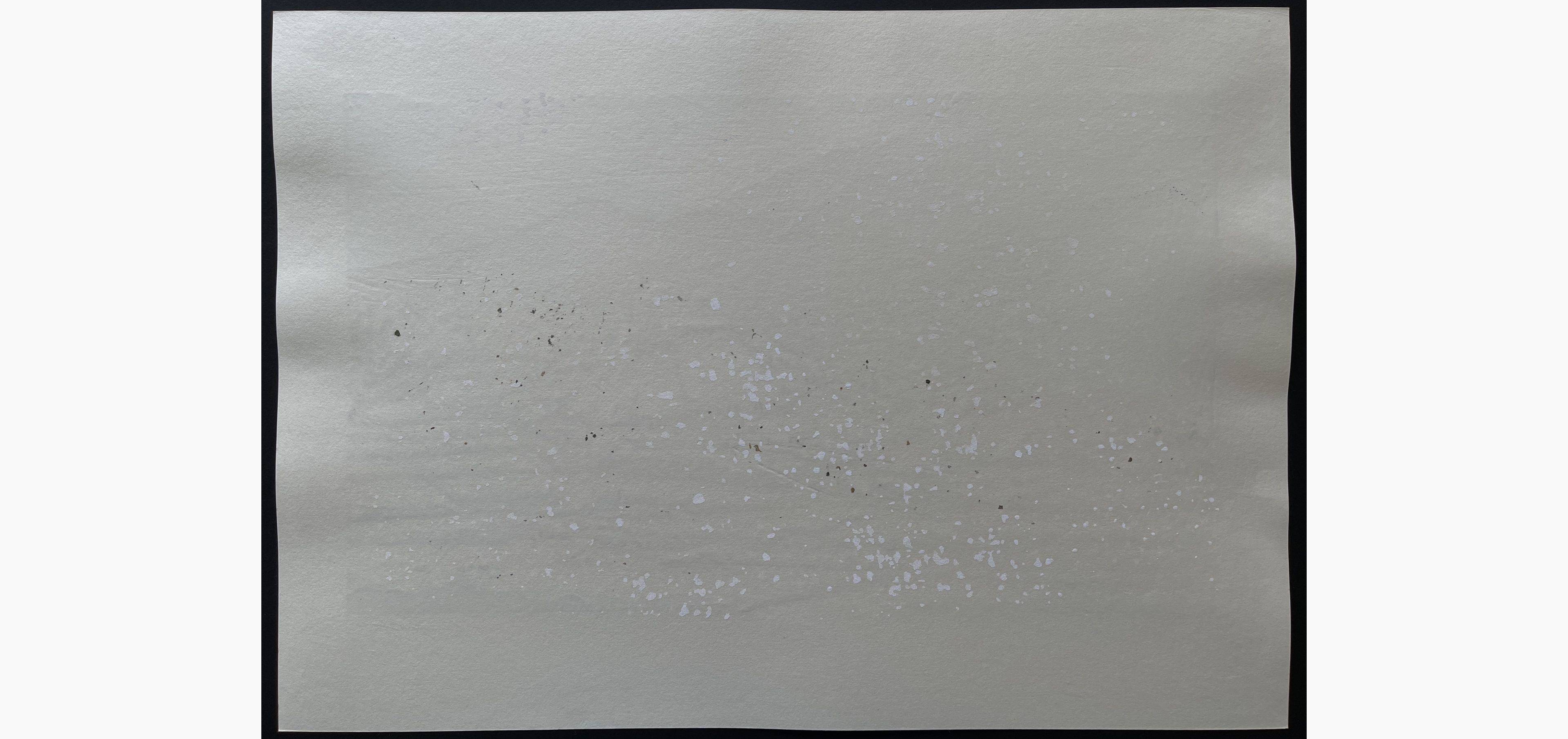 Japanese print - Nishijima Katsuyuki - Drifting Snow