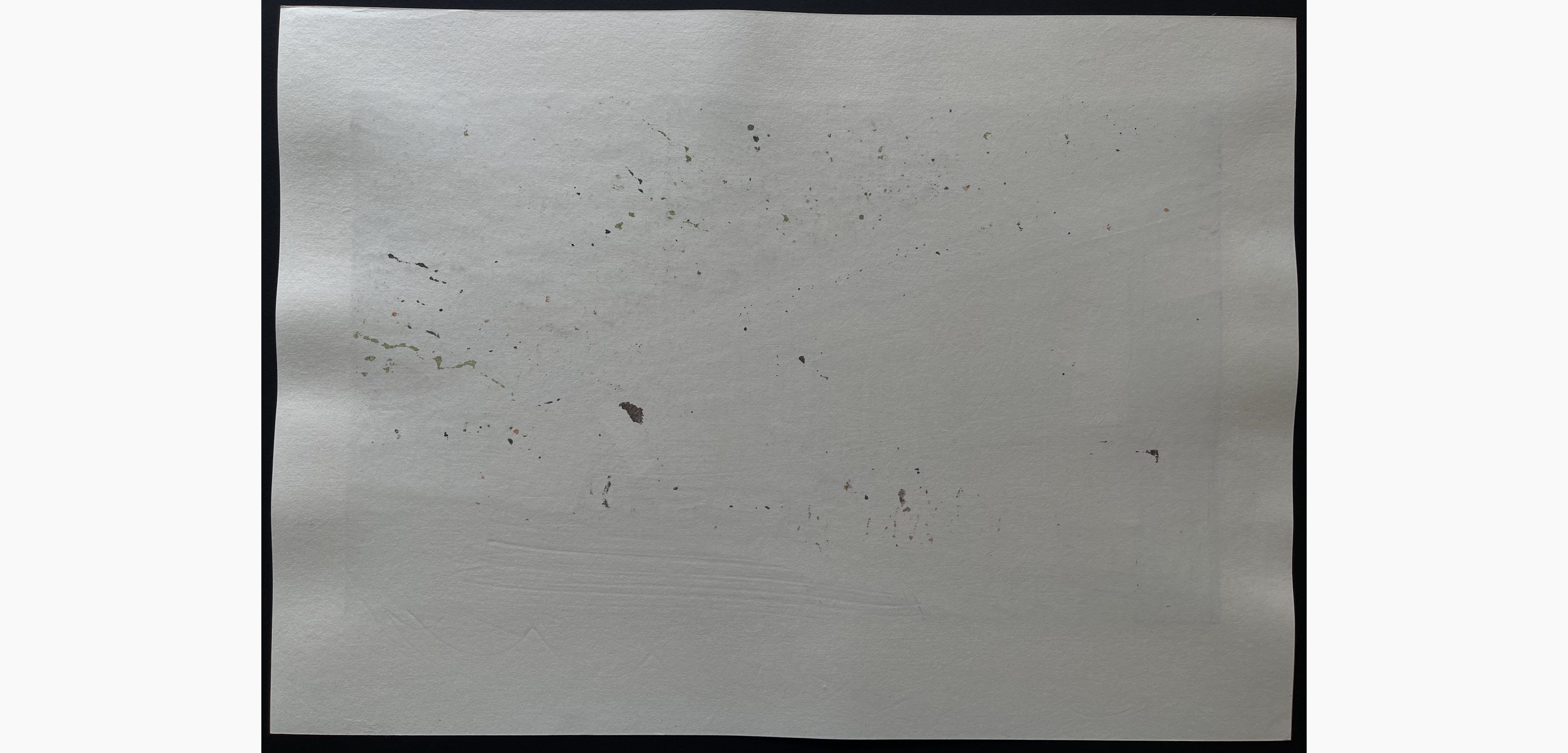 Japanese print - Nishijima Katsuyuki - Green Wind