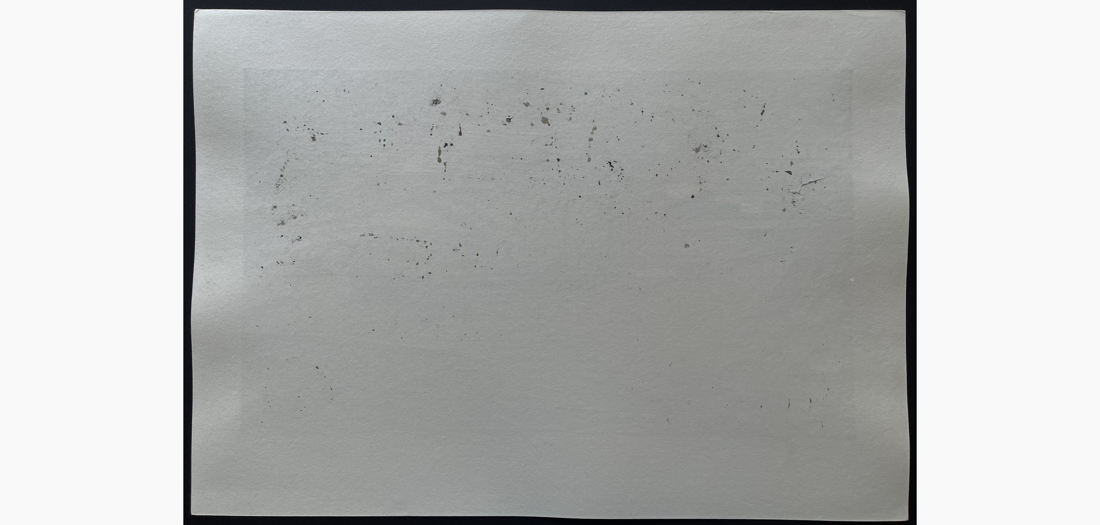 Japanese print - Nishijima Katsuyuki - Light Snow