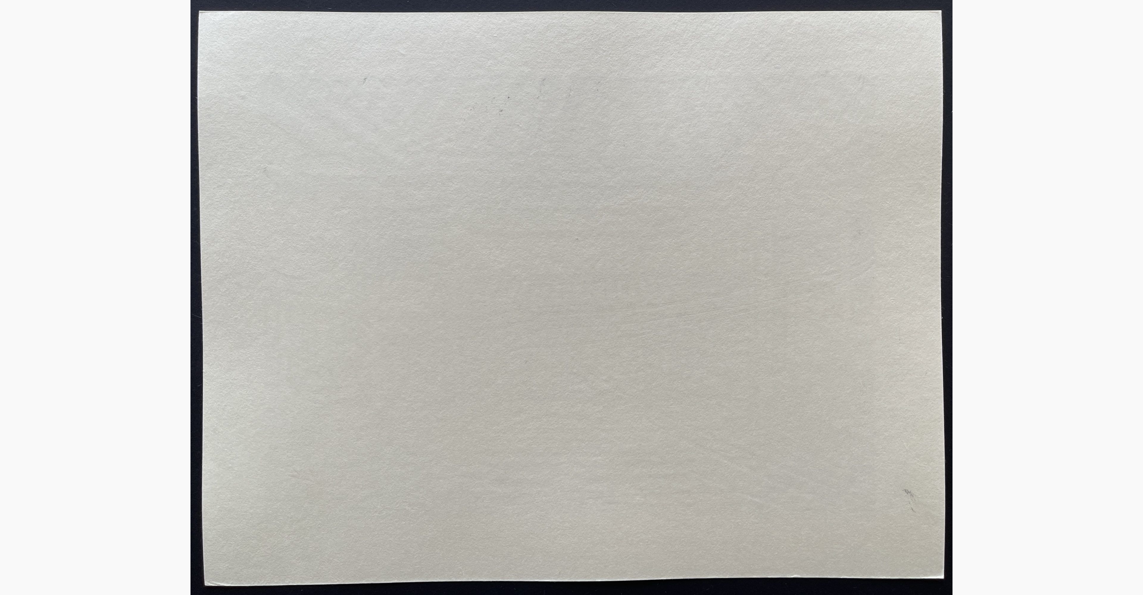 Japanese print - Nishijima Katsuyuki - Sasayama