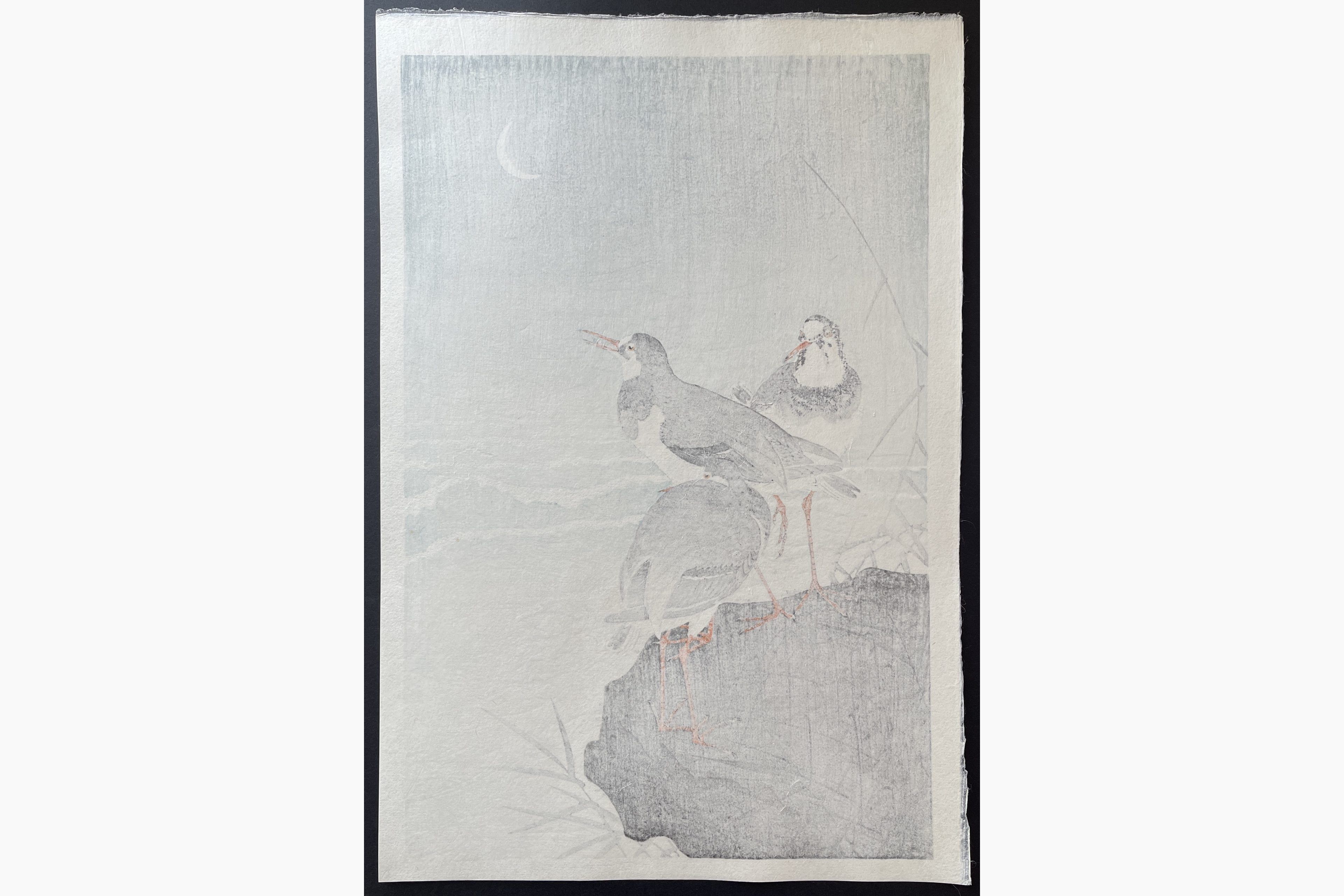 Japanese print - Ohara Koson - Thee Plovers on a Rock, the Seaside and a Crescent Moon behind.