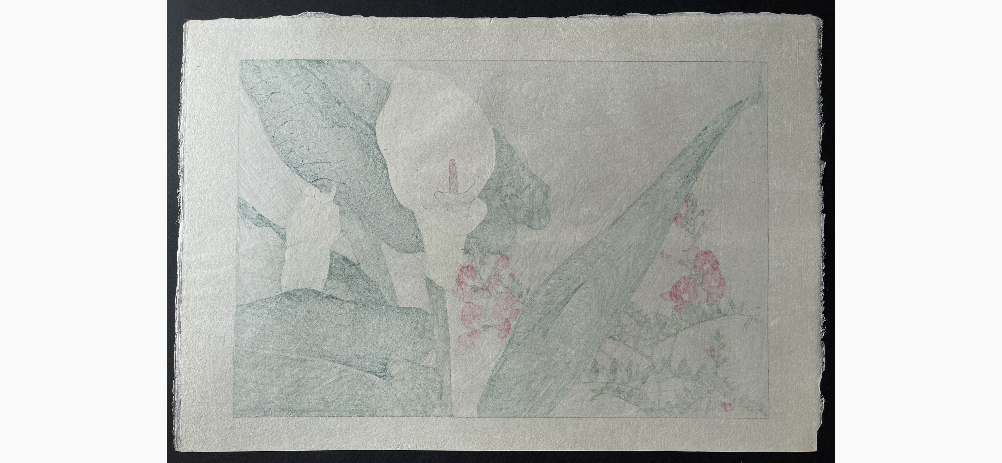Japanese print - Tanigami Konan - Calla lily