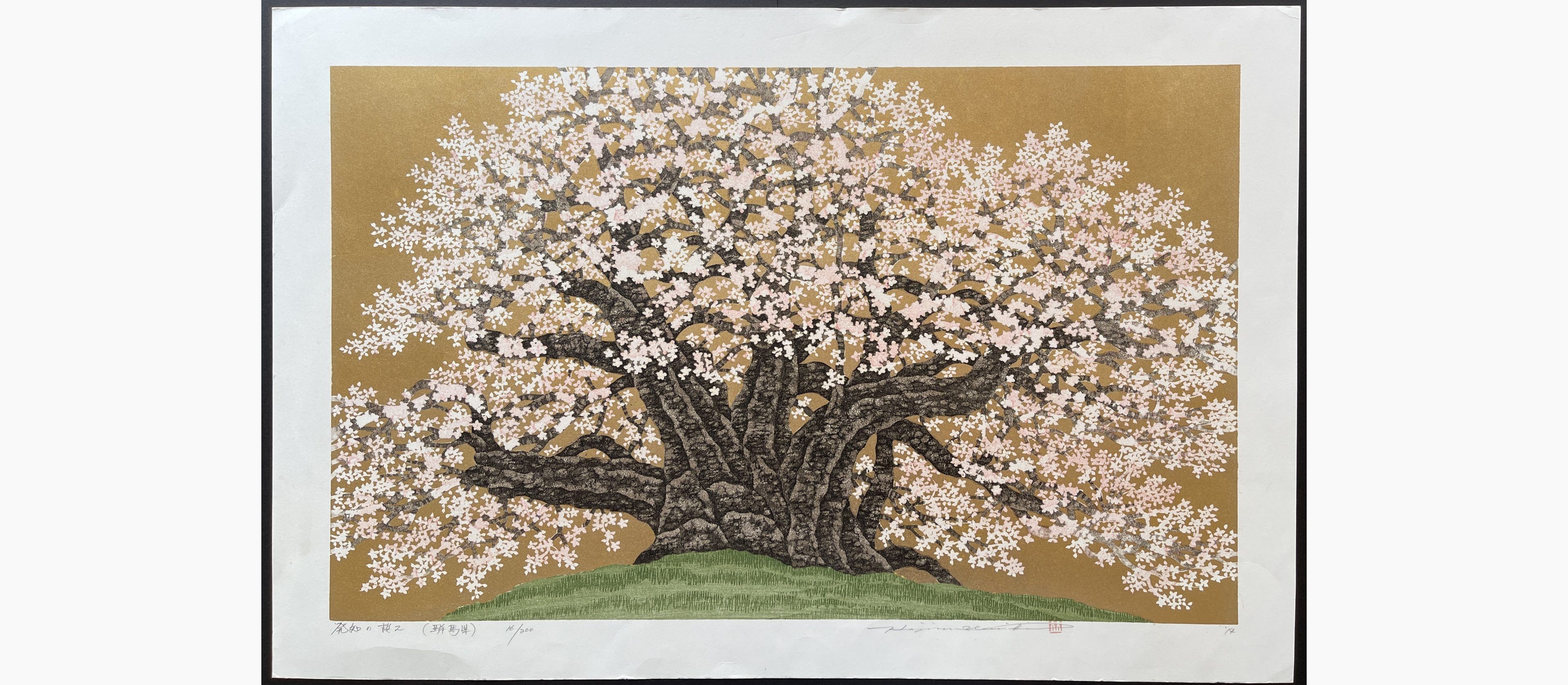 Japanese woodblock print - Hajime Namiki - Cherry of Hotchi 2 (Gunma)