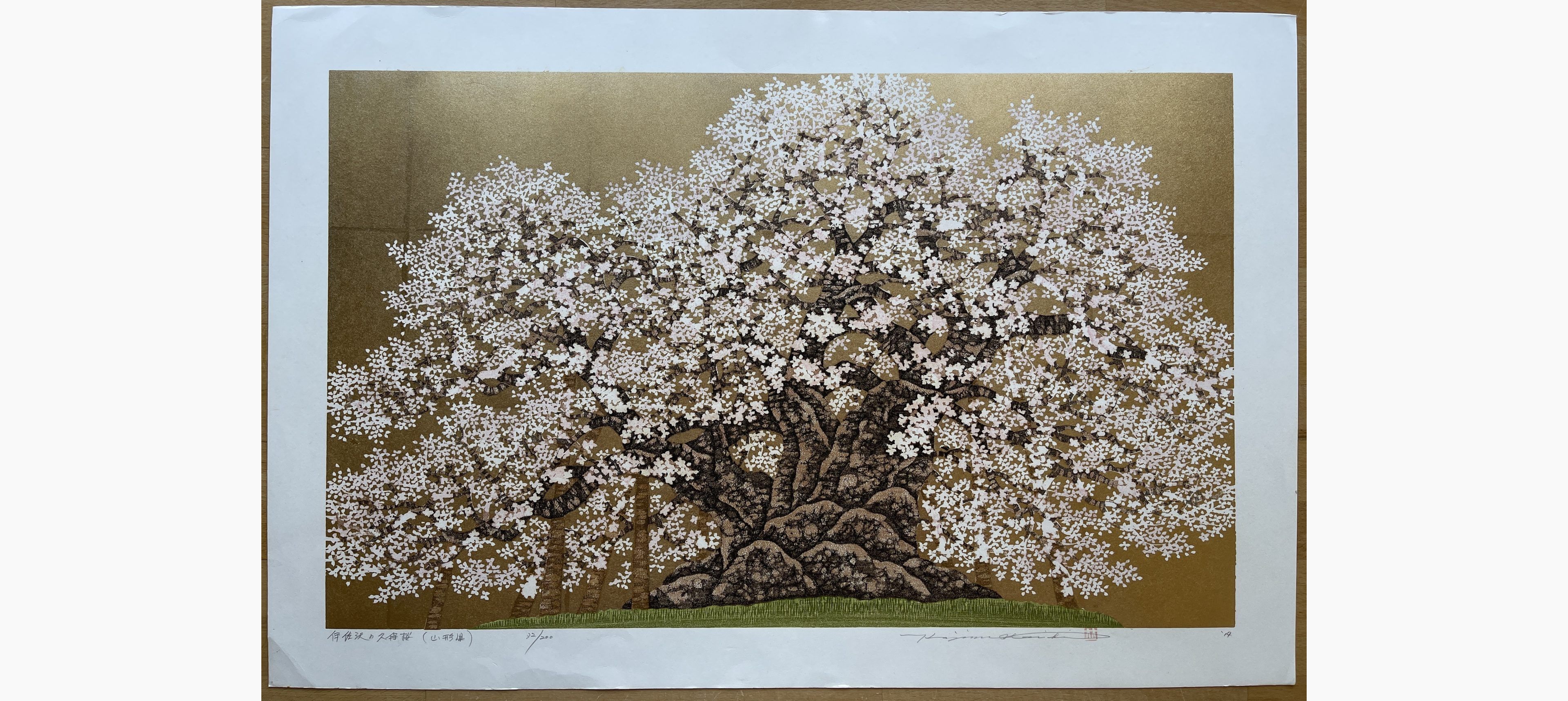 Japanese woodblock print - Hajime Namiki - Kubo Cherry of Isazawa (Yamagata)