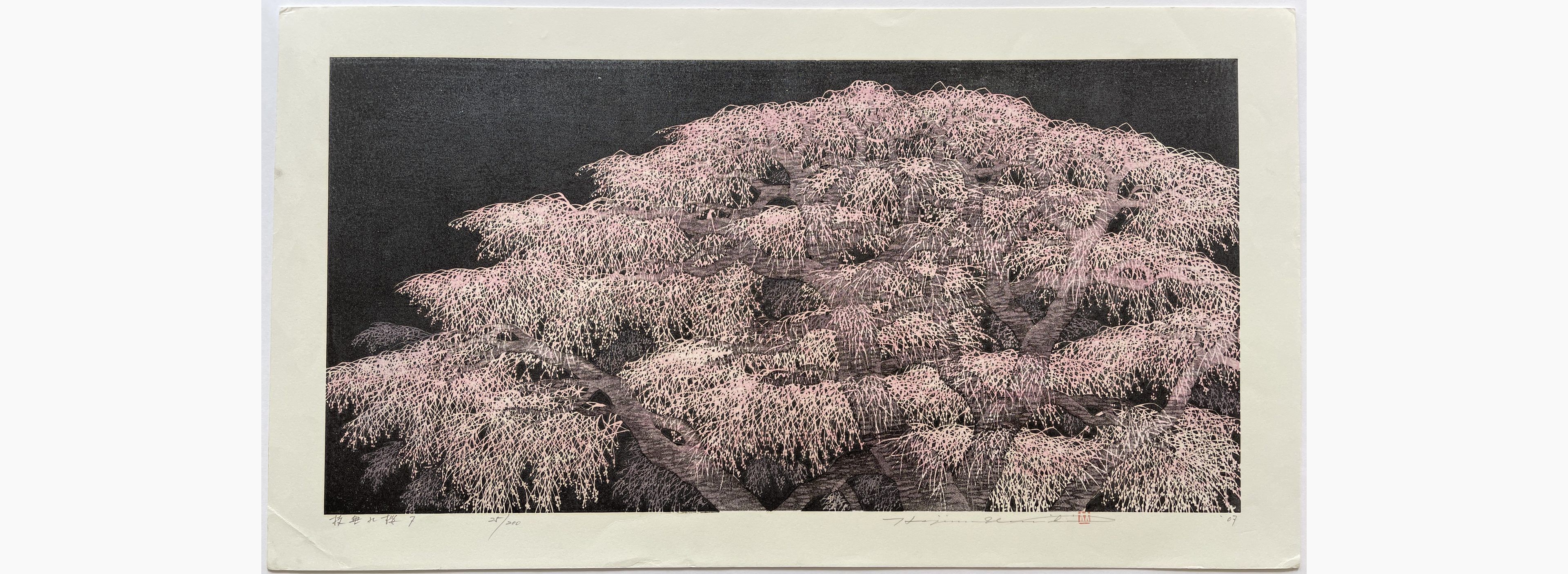 Japanese woodblock print - Hajime Namiki - Shidare Sakura 7