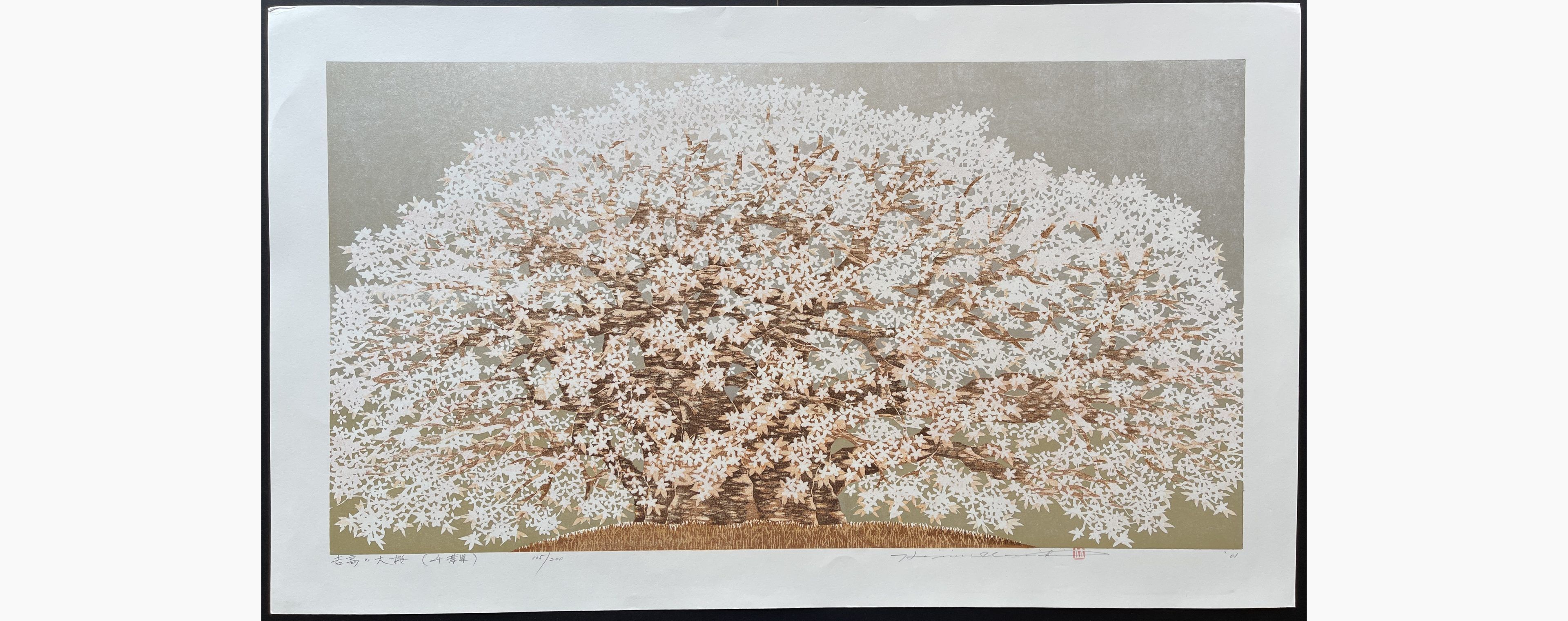 Japanese woodblock print - Hajime Namiki - Yoshitaka Cherry Tree