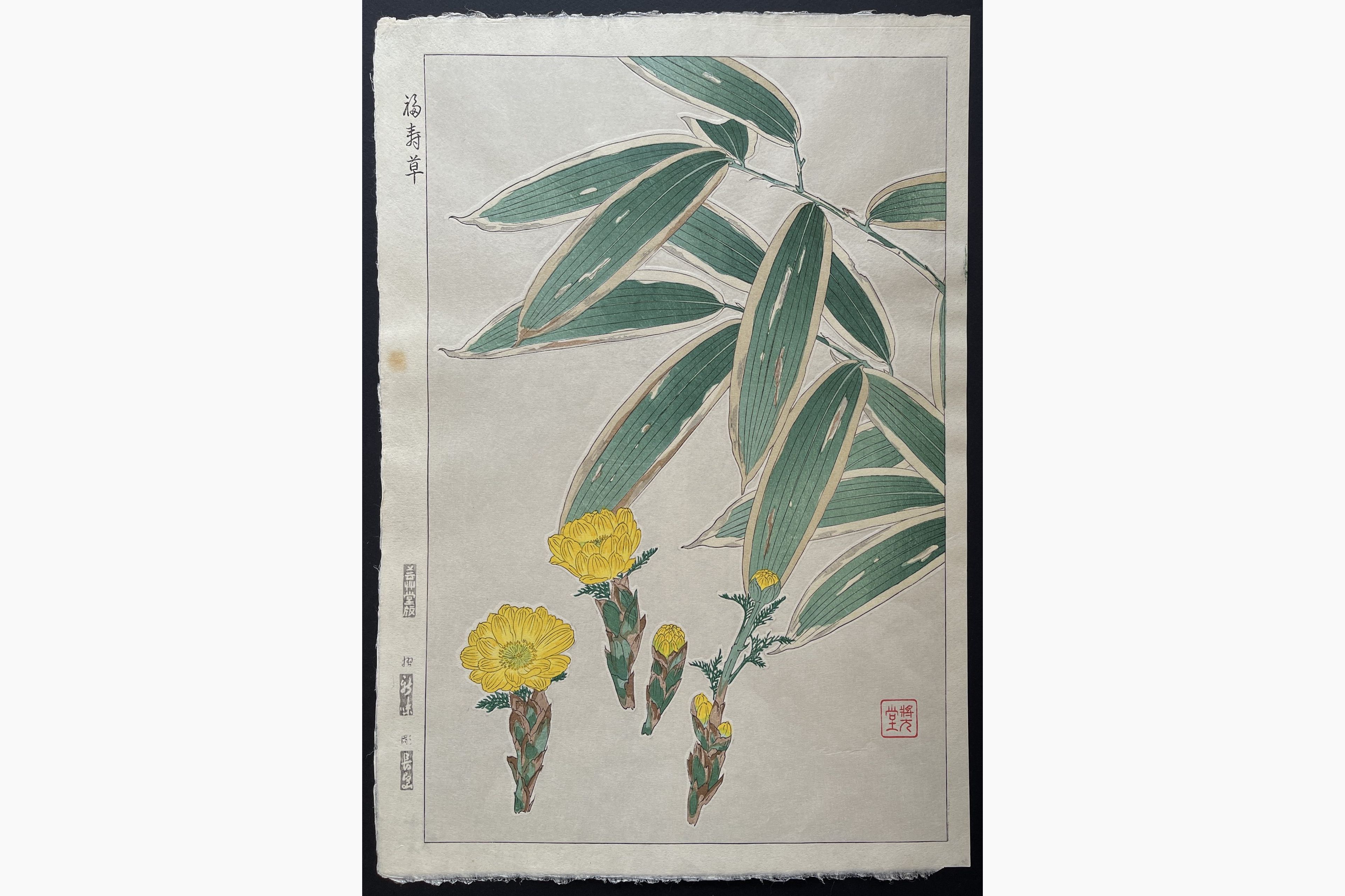 Japanese woodblock print - Kawarazaki Shodo - Adonis and Bamboo